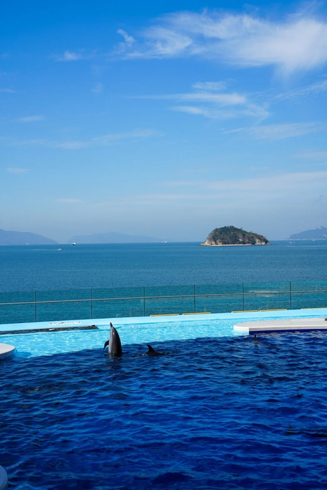 レポ#36 寝台列車サンライズ瀬戸で行く「四国水族館」｜haru