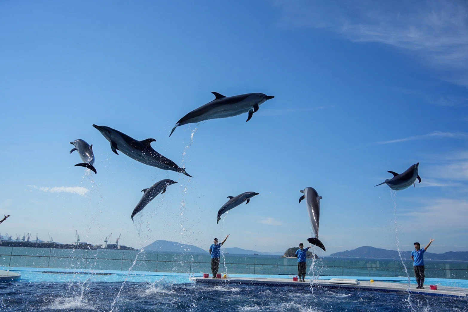 レポ#36 寝台列車サンライズ瀬戸で行く「四国水族館」｜haru