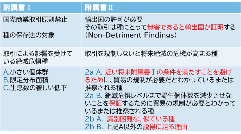 持続可能なビジネスのルールとして考える、サメのワシントン条約附属書