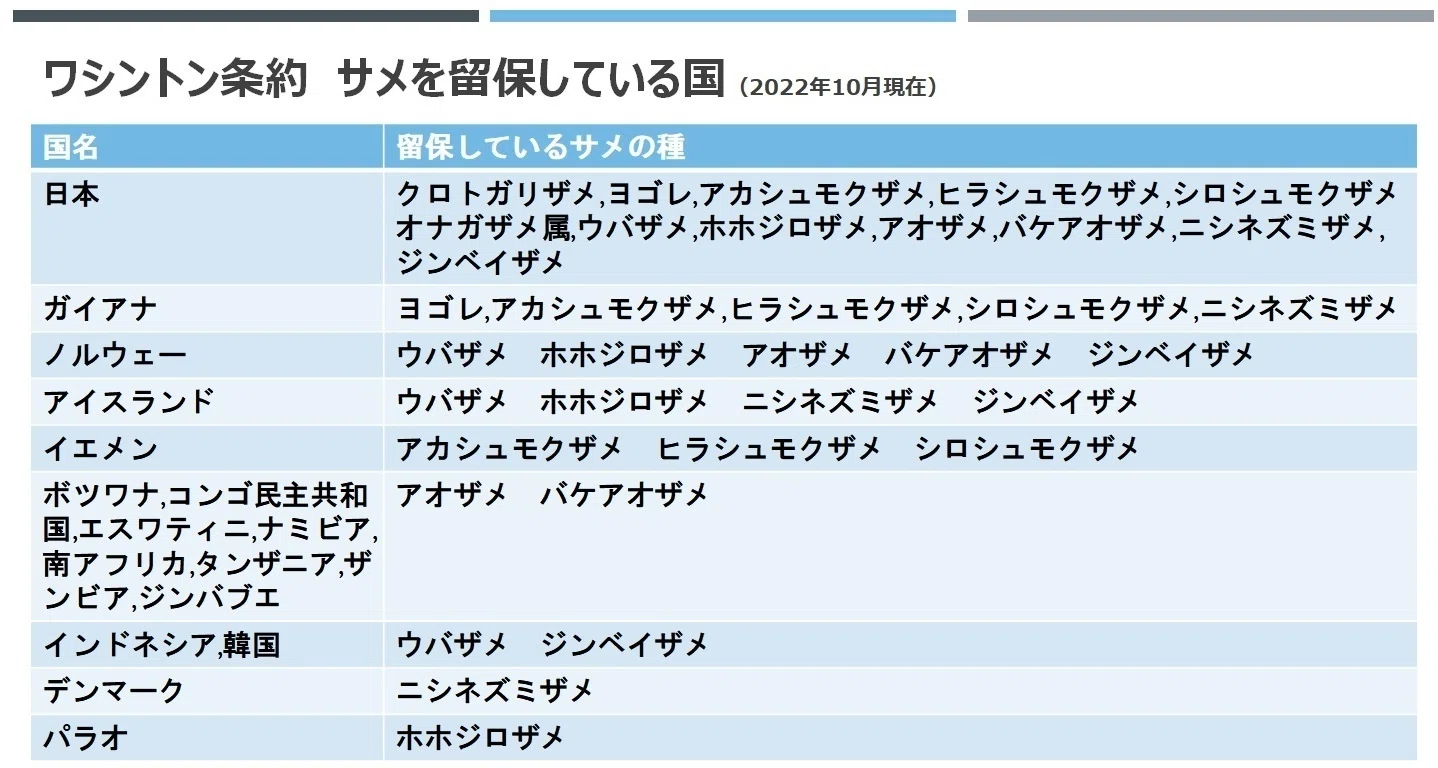 持続可能なビジネスのルールとして考える、サメのワシントン条約附属書