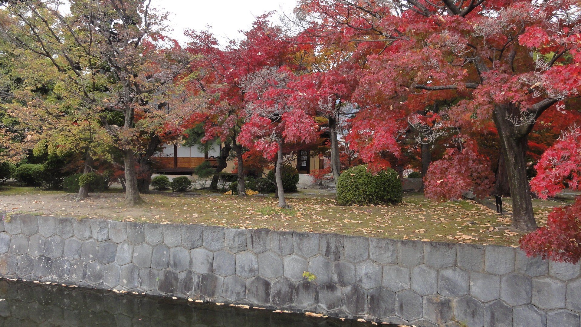 八田家書院】石和温泉にほど近い豪商の書院、紅葉とともに(2022.11.13