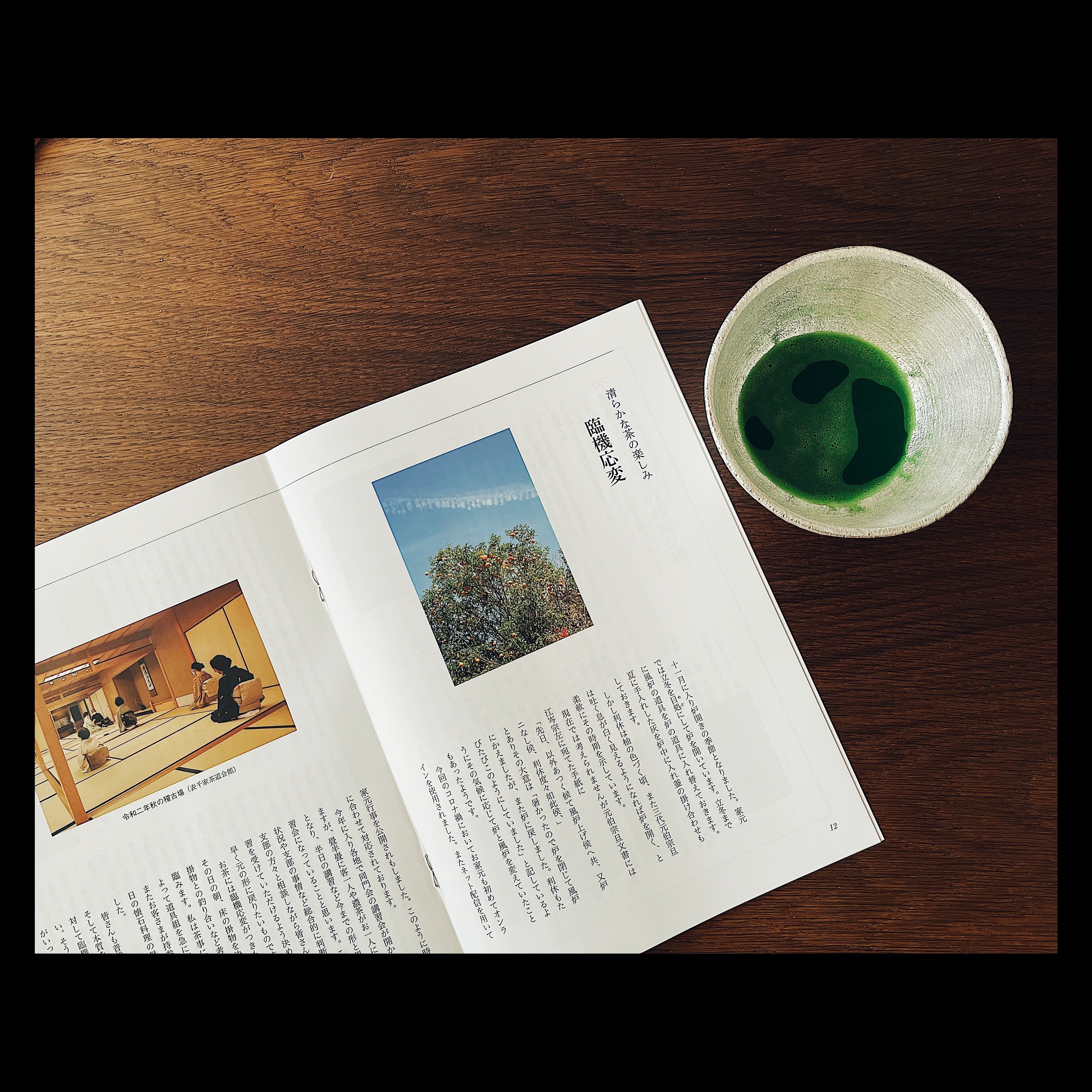 表千家同門会 同門11月号 『清らかな茶の楽しみ』より｜光森ちづこ