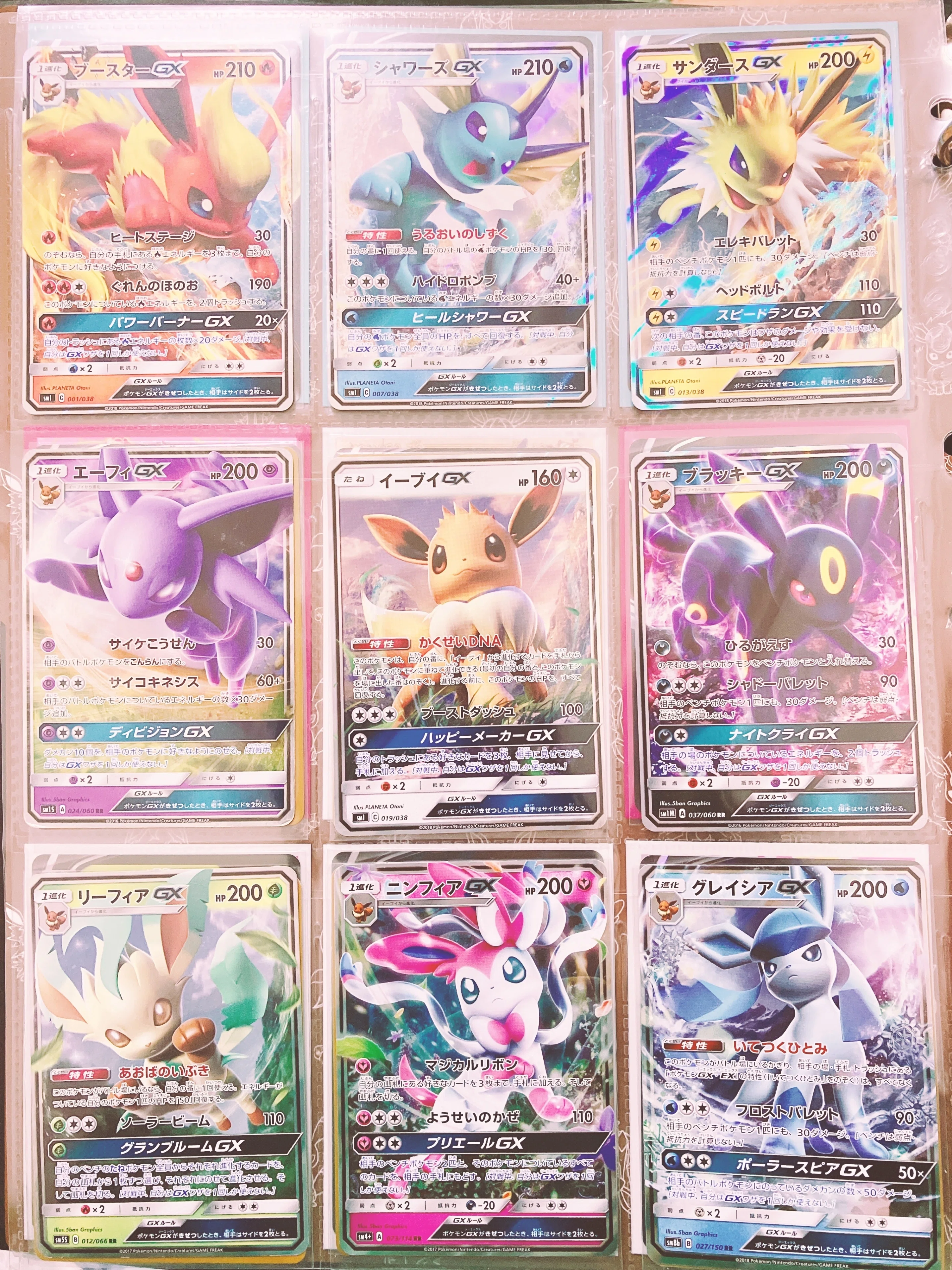 ポケモンカード関連コレクション紹介｜ここあ
