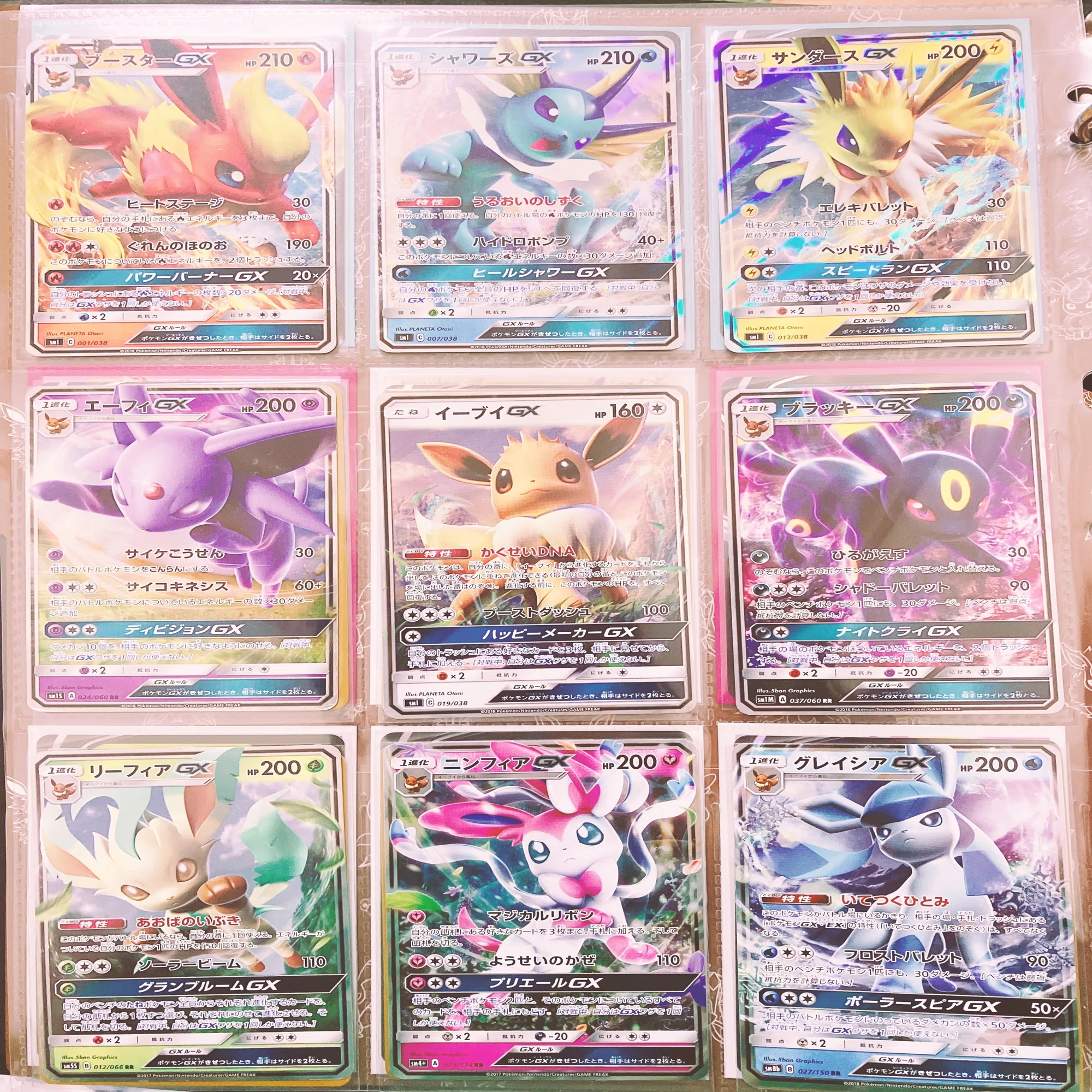 ポケモンカード関連コレクション紹介｜ここあ