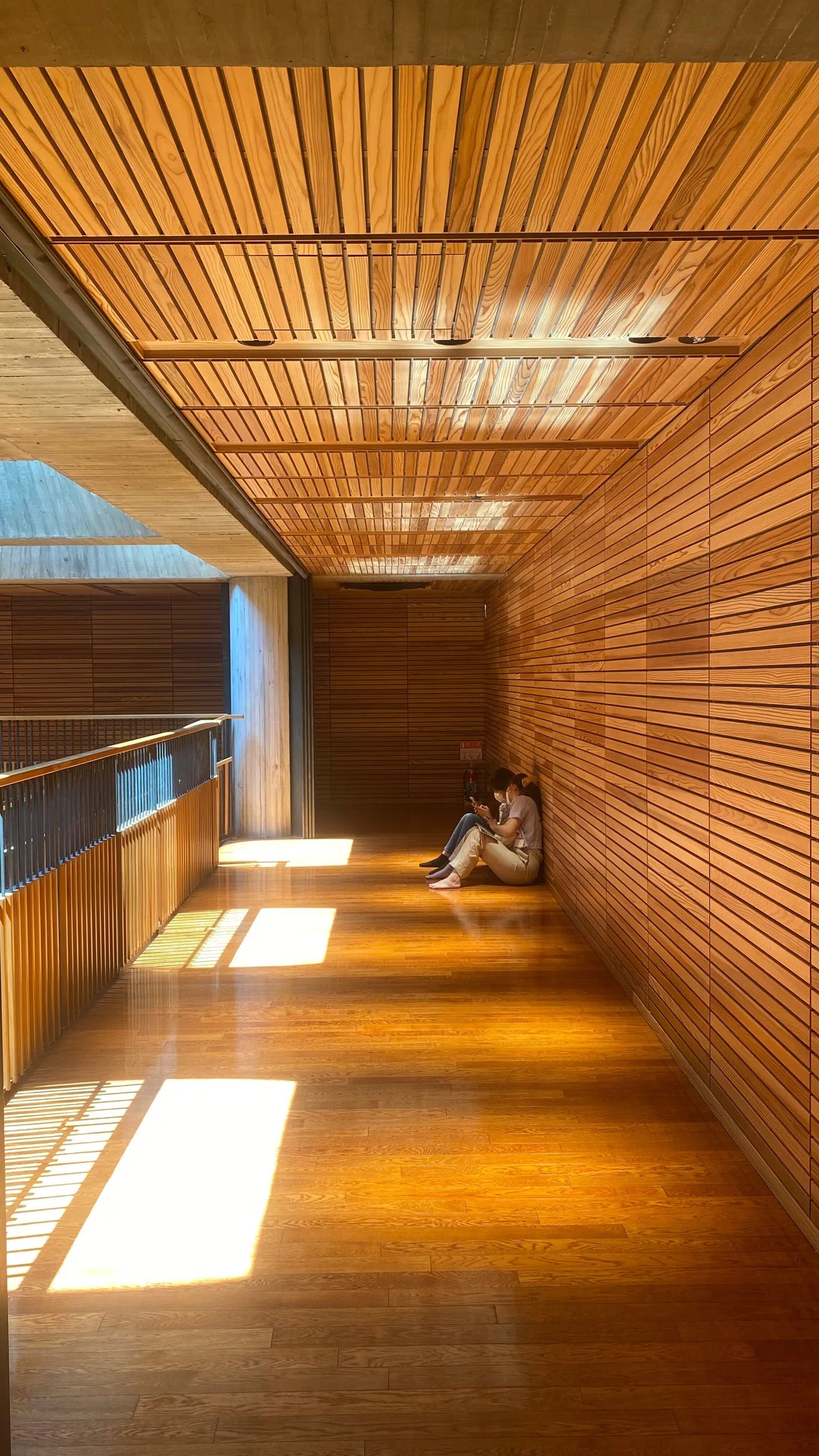 Sound-Absorbing Finish Gallery (1)｜otoちゃんとarcちゃん （日本建築学会室内音響小委員会 監修）