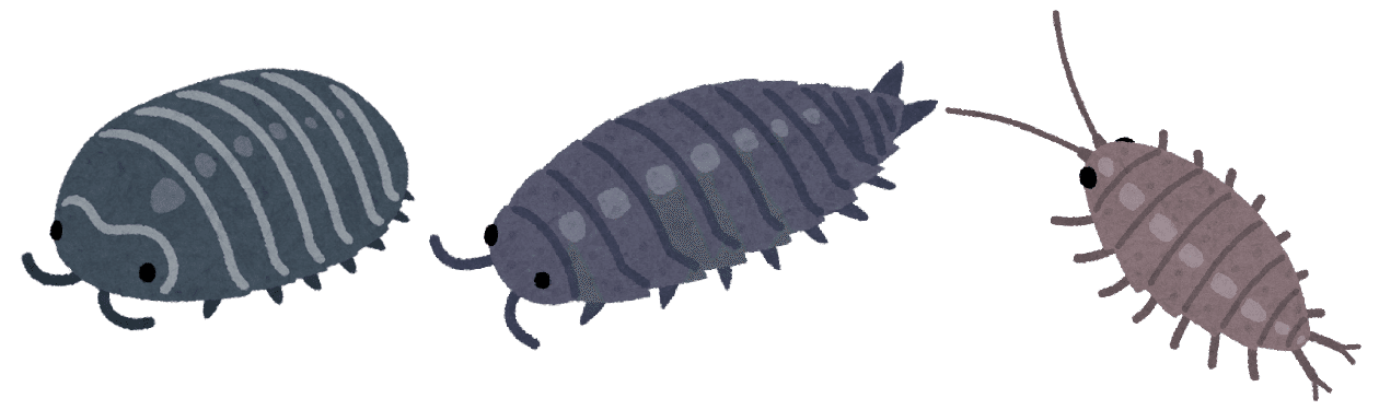 第35章 ダンゴムシは 虫 である ざるにい Note 第35章 ダンゴムシは 虫 である ざるにい Note