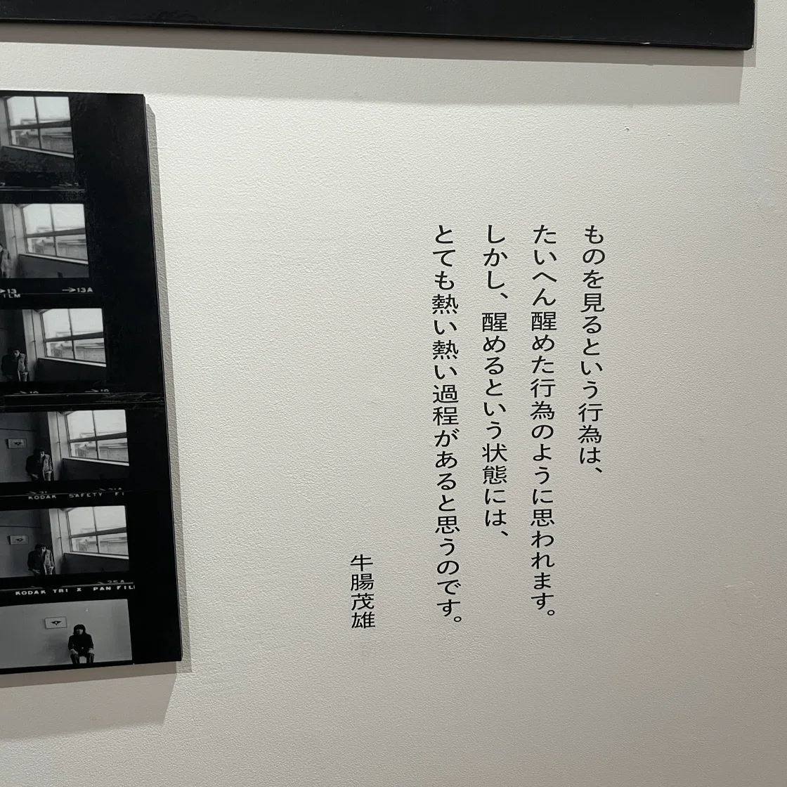 幻想的、哲学的、それでいて愉快＠牛腸茂雄の写真展｜ツギハギ
