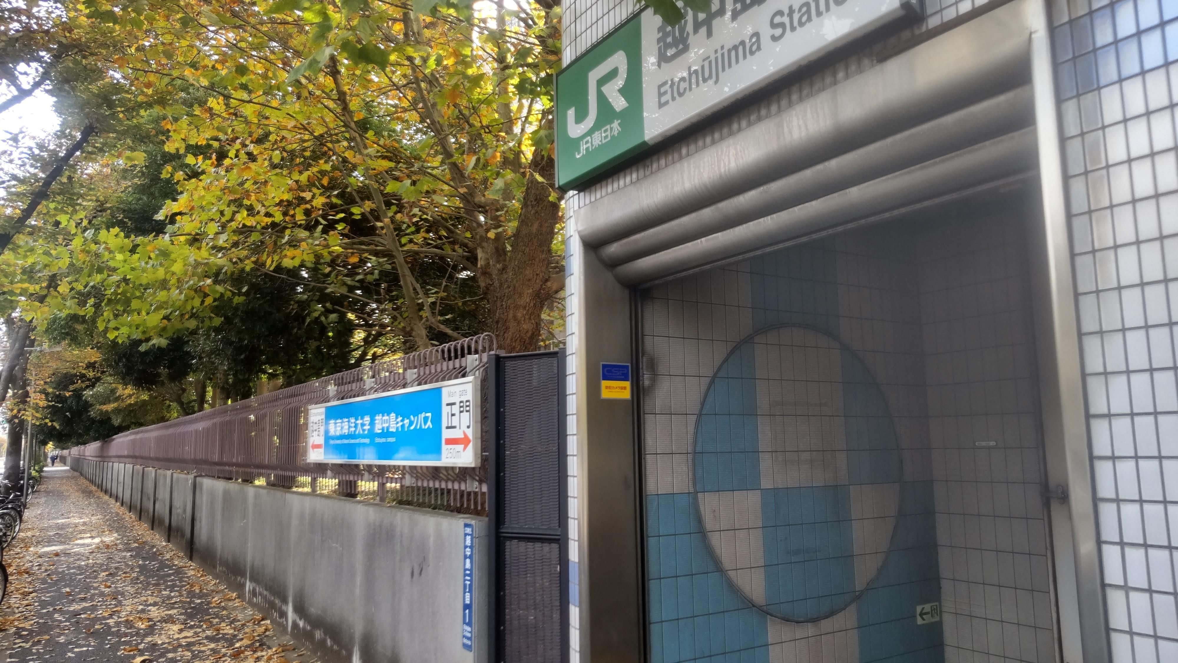 東京の水辺をめぐる＞①越中島を歩く｜TakashiKATO