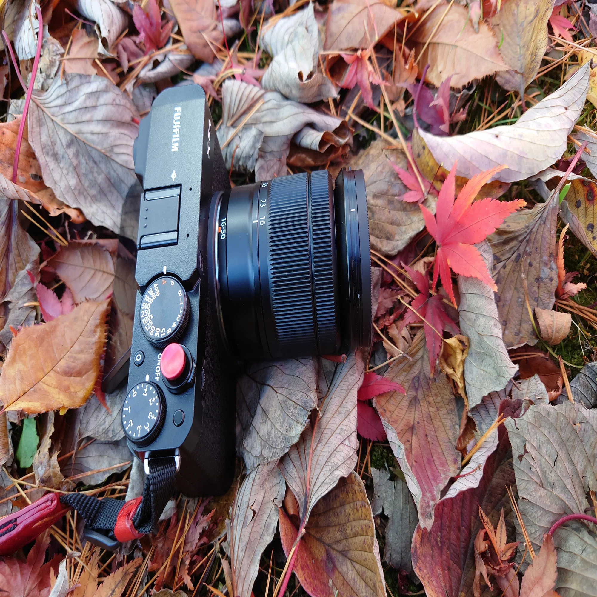 FUJIFILM X-E4 と XC16-50mm F3.5-5.6 OIS II｜あお