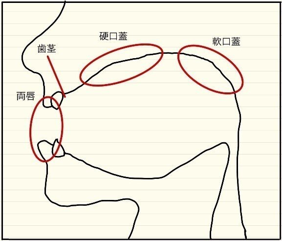 [発音ピンポイント講座] 頭子音[ng]と末子音[ng]の発音方法｜田畑トマト＠ベトナム語キュレーター