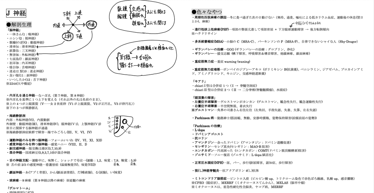 医師国家試験&USMLE ゴロ｜Kik