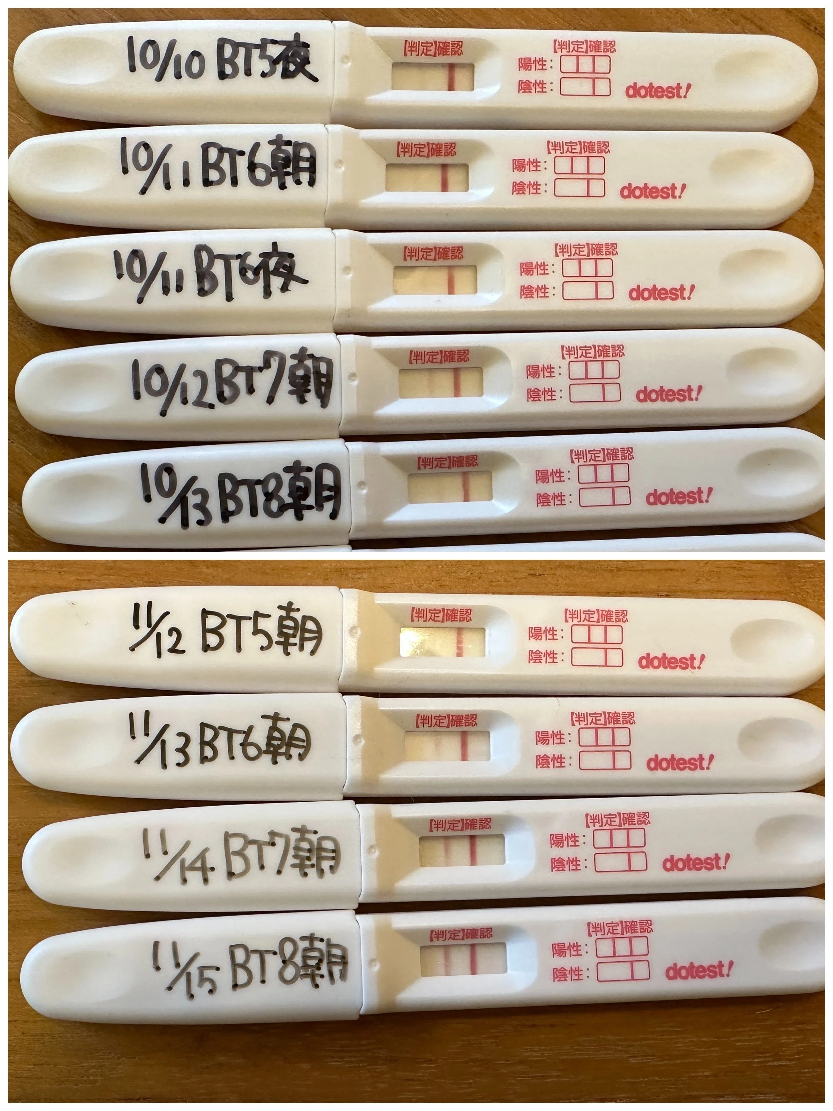 活動歴および当時の関連ビジュアル記録