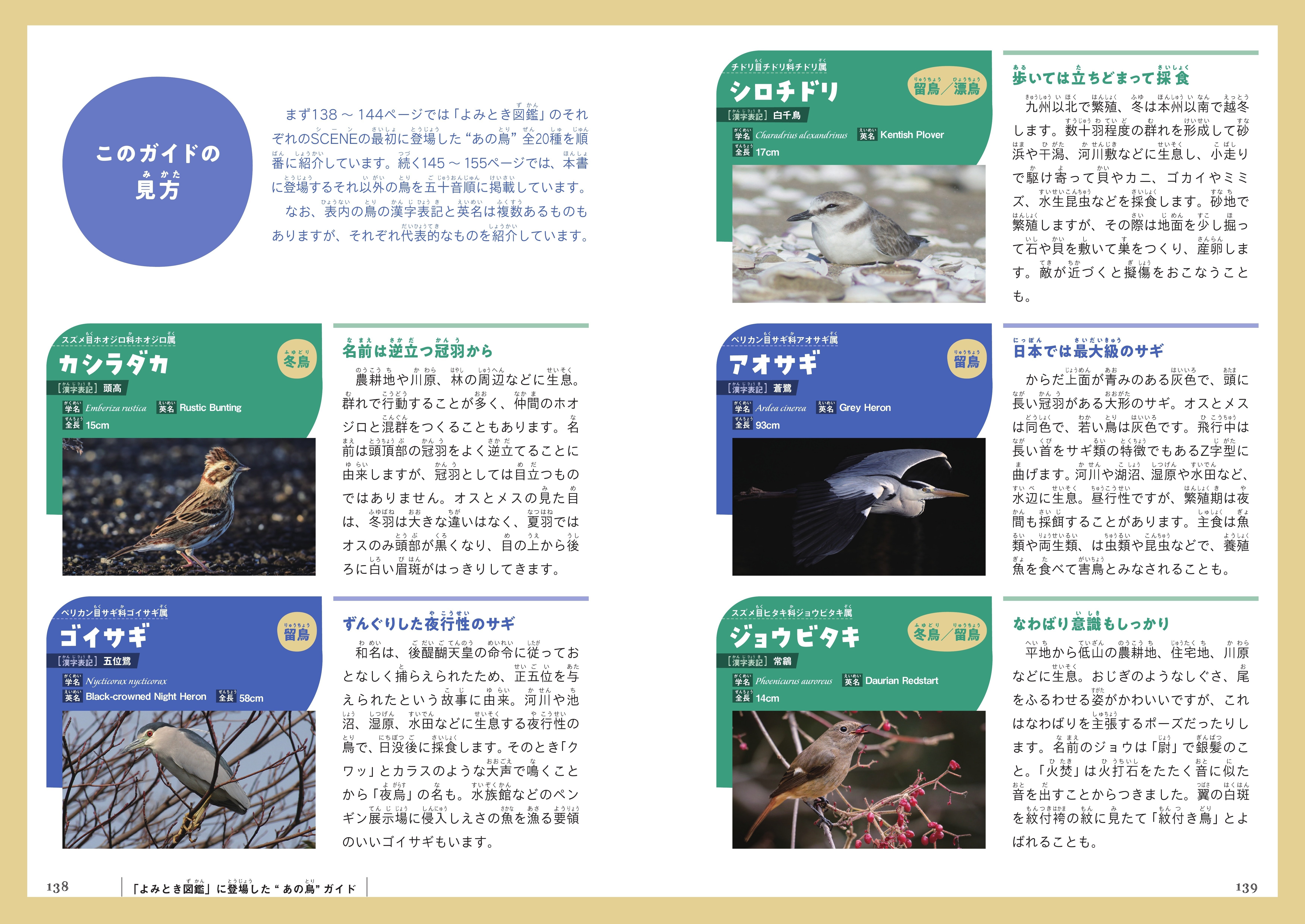 鳥類学 東洋の名ハンター」の残したヨタカ－折居彪二郎の鳥類標本