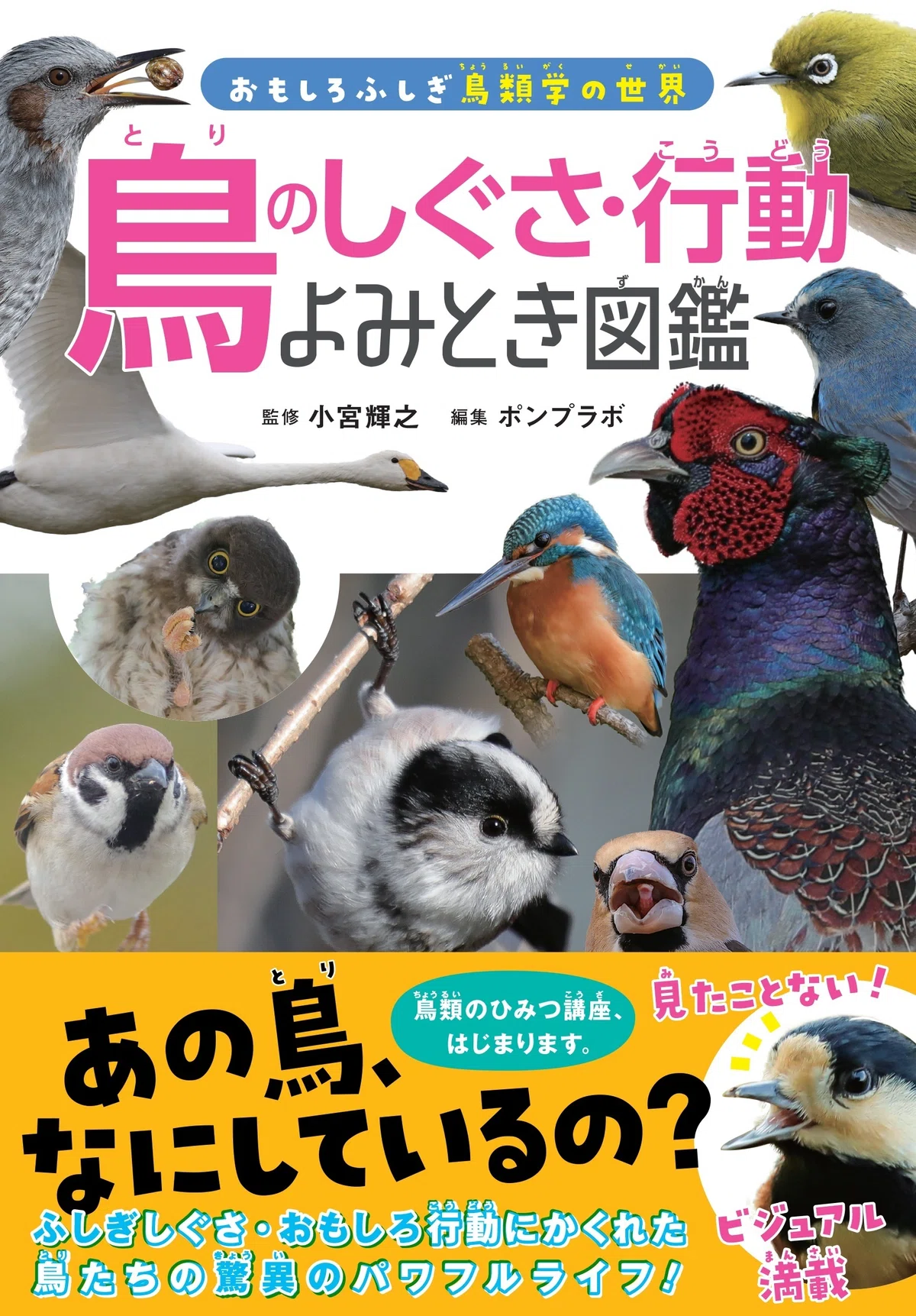 おもしろふしぎ鳥類学の世界」鳥たちの行動しぐさから生態が学べる 