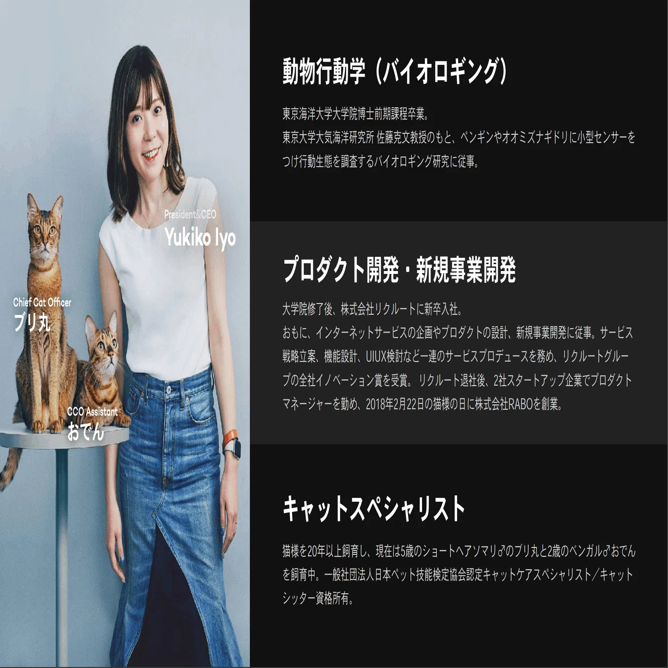 HR様 リクエスト 2点 まとめ商品 【公式通販】