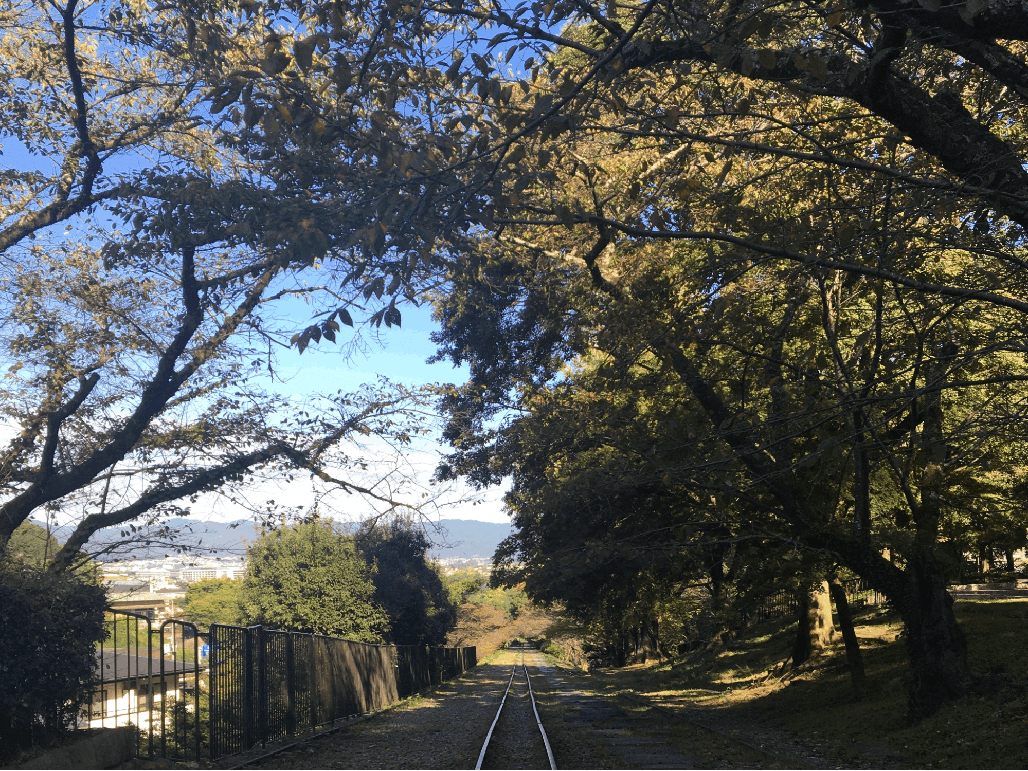 私がテイラーワークスにjoinした理由 村山編 コミュニティから新しいコトがどんどん生まれる社会へ 株式会社テイラーワークス Note 私がテイラーワークスにjoinした理由 村山編 コミュニティから新しいコトがどんどん生まれる社会へ 株式会社テイラーワークス Note