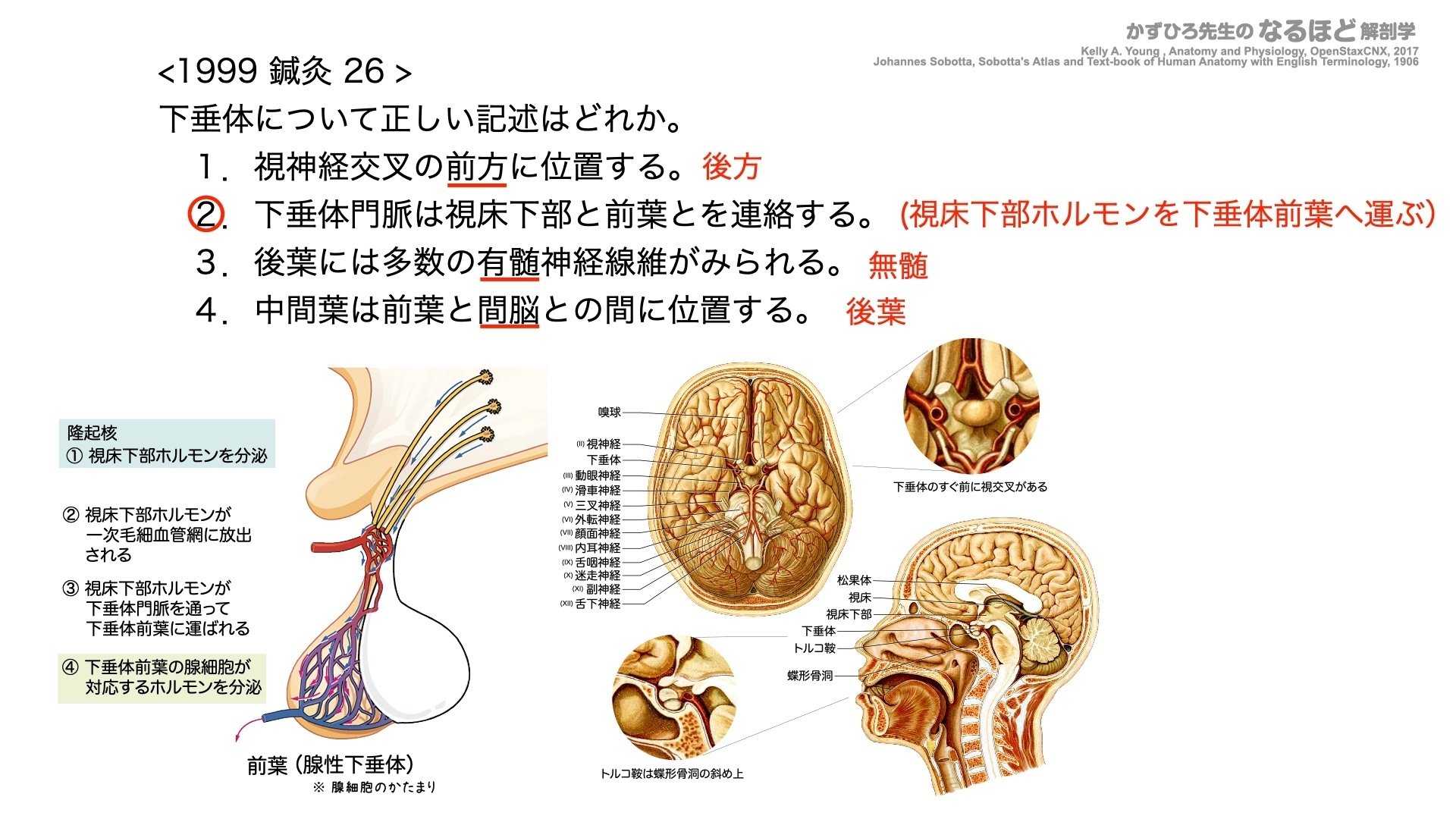 【間脳・下垂体疾患・副腎疾患 / 図説 内科診断治療講座 8】 下垂体疾患診療マニュアル 改訂第3版 | 診断と治療社