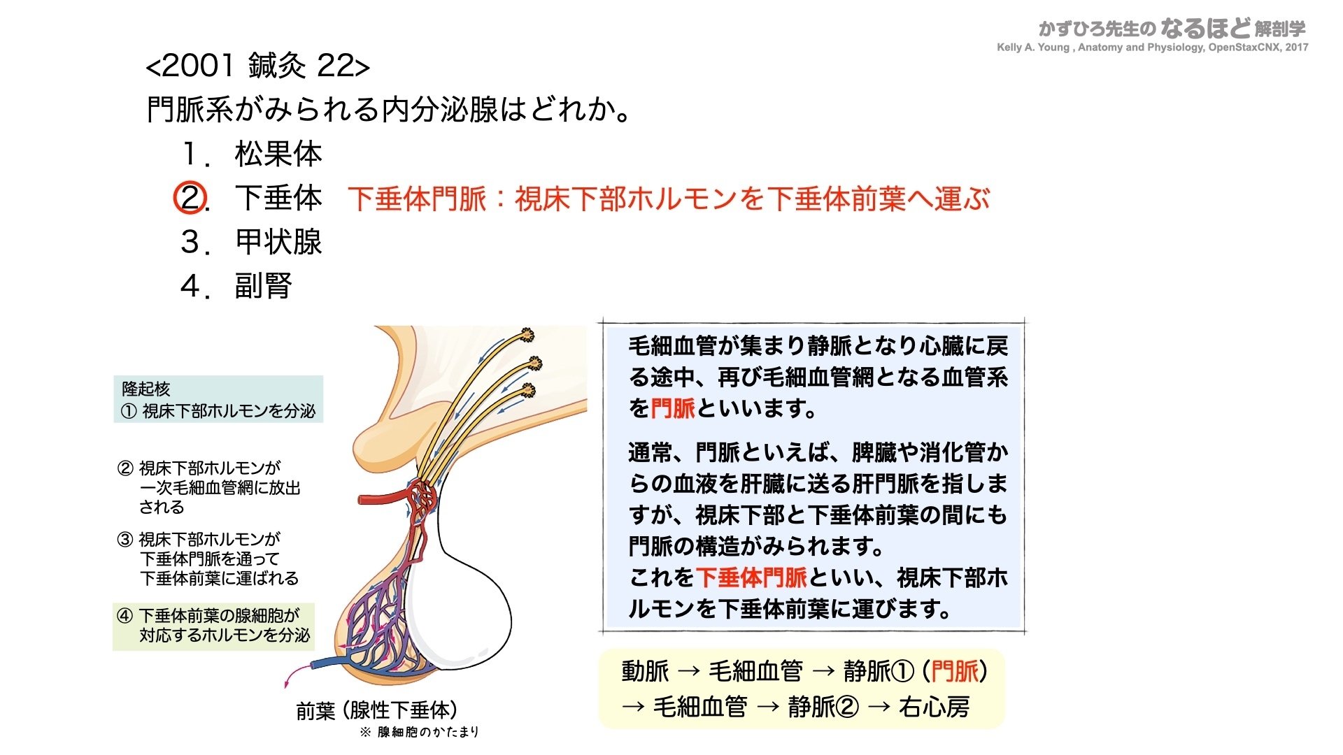 公認心理師 2019-83 - 公認心理師・臨床心理士の勉強会