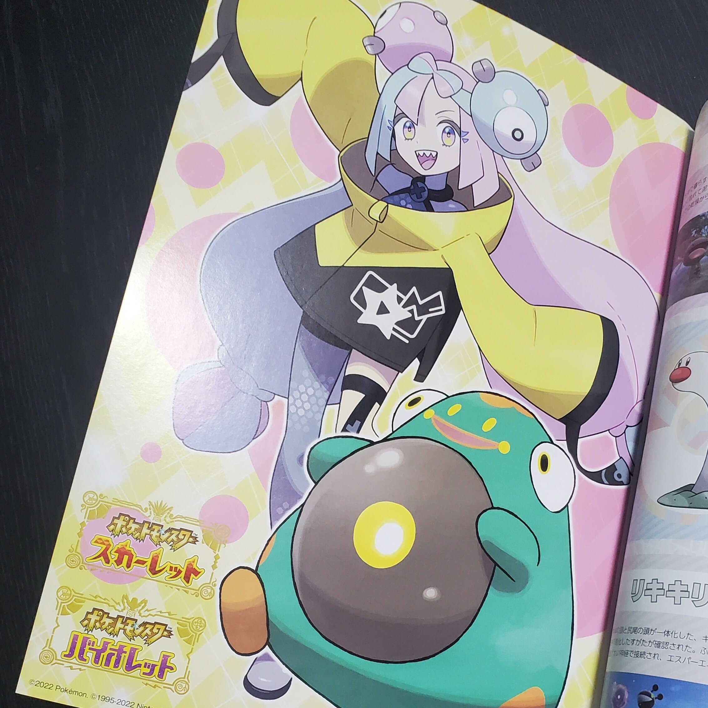 たぶんこれがさいしょのナンジャモグッズです｜空目ハルヒコ Haruhiko