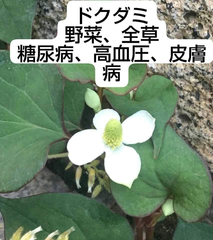 中村臣市郎先生】…滅亡の食料危機それが来ても恐れることはない