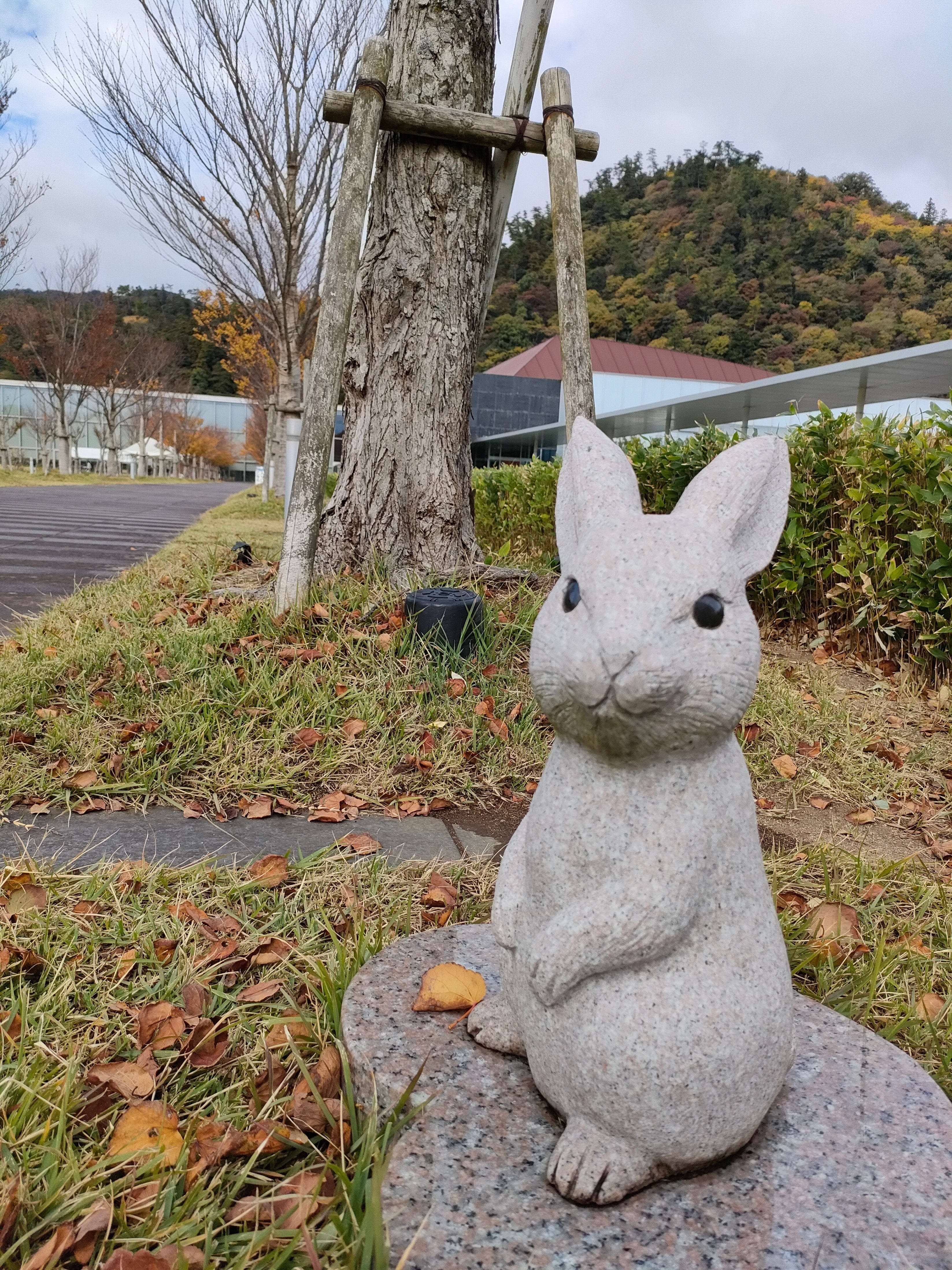 出雲大社(うさぎさん編)｜野田ぴよ