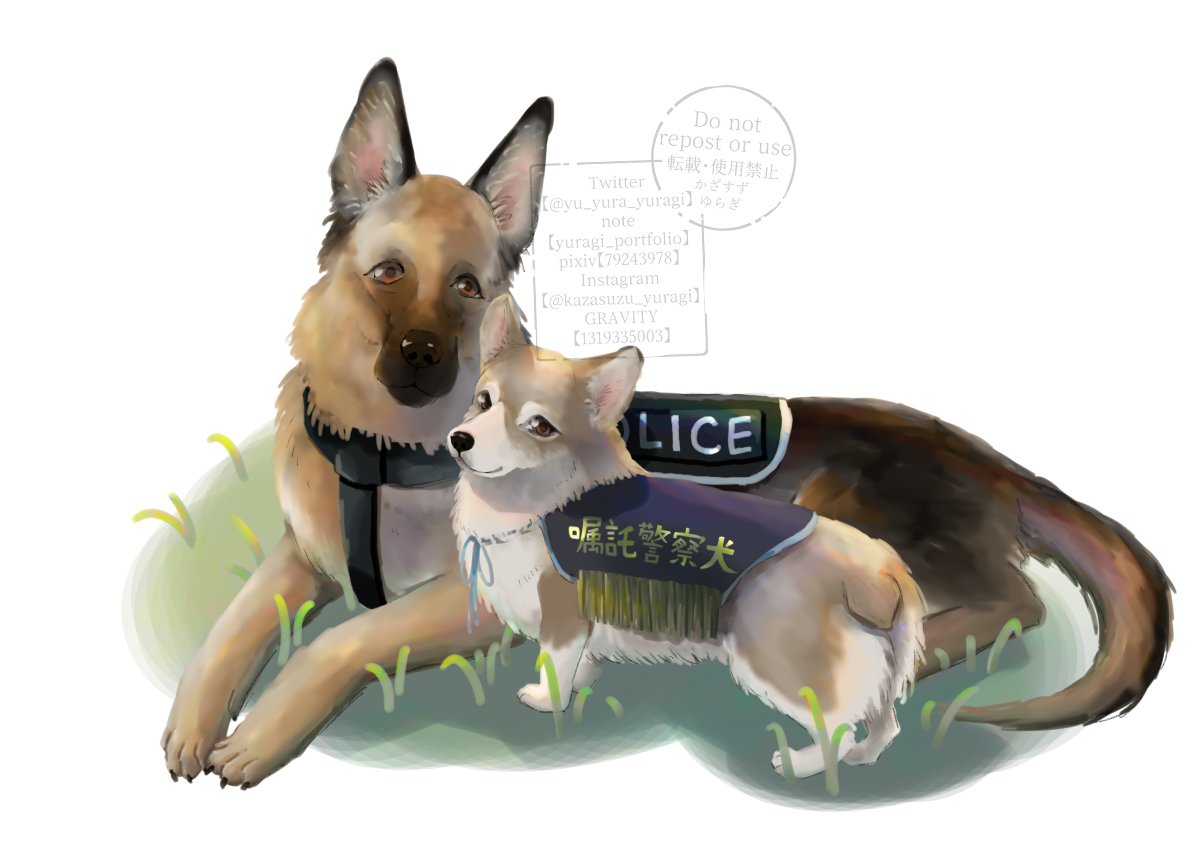 はたらくｲﾇﾁｬﾝたち／⑤警察犬｜かざすずゆらぎ
