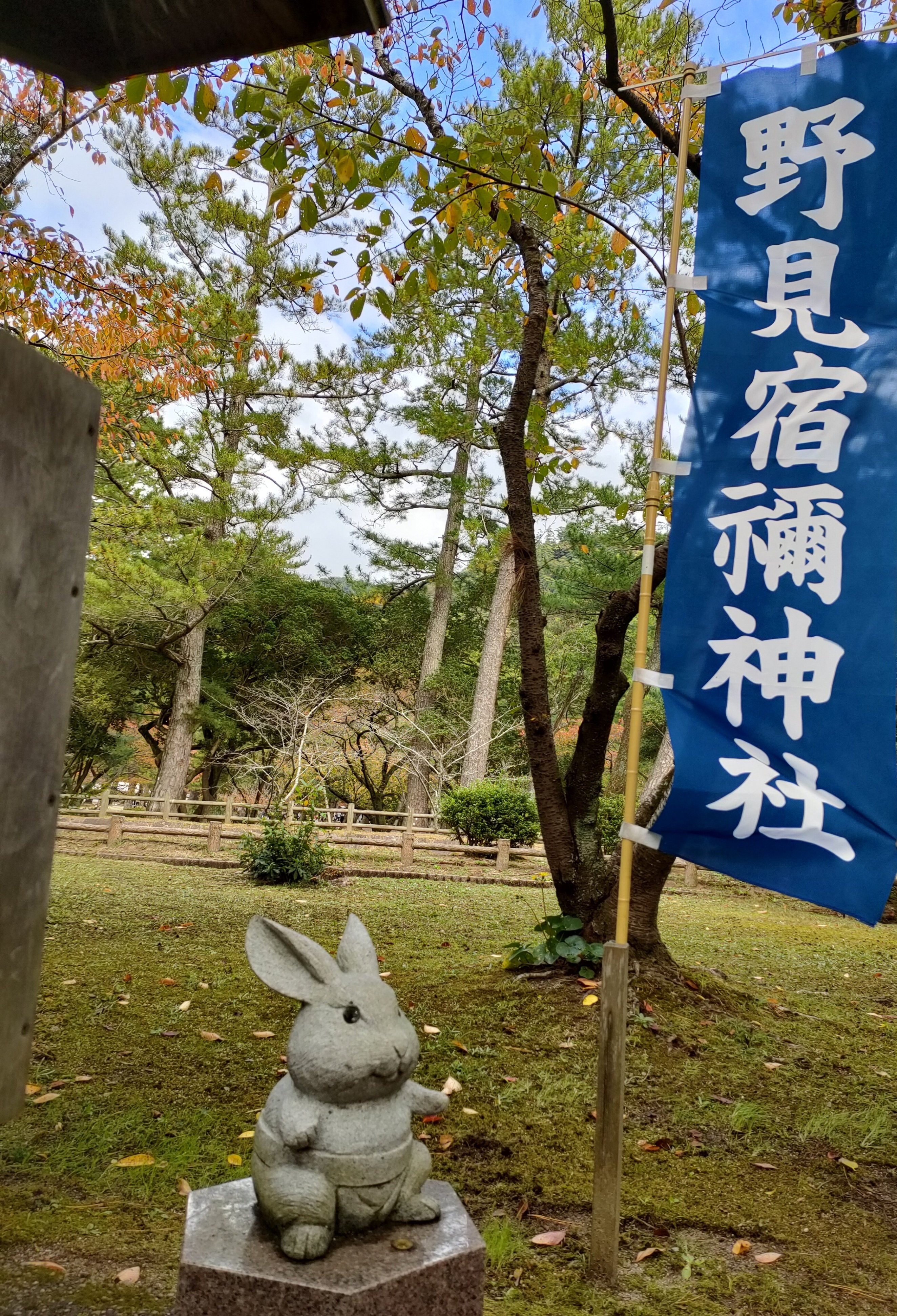 出雲大社(うさぎさん編)｜野田ぴよ