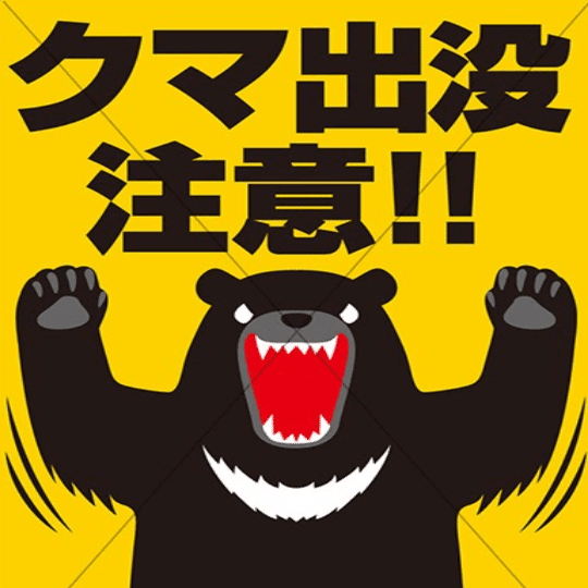 確認*⸜(* ॑꒳ ॑*  )⸝*くまさん ライブディオZXとは？ニセモノに注意！