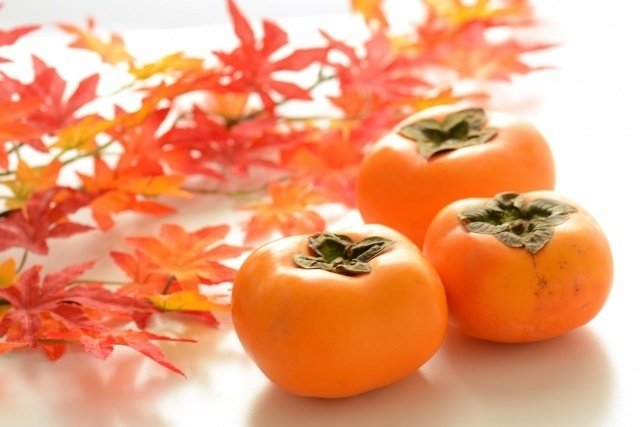 くらしの東洋医学 鍼灸で元気に かき 柿 で若返り あやかざり Note