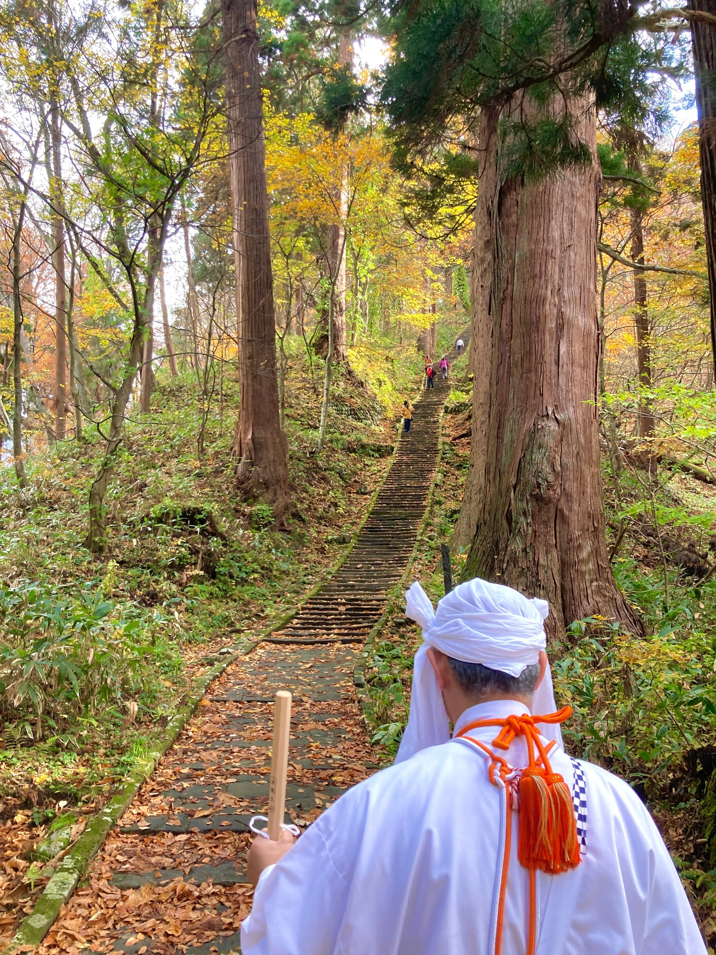 自然と信仰が息づく山形・羽黒山で巡礼体験｜中村洋太