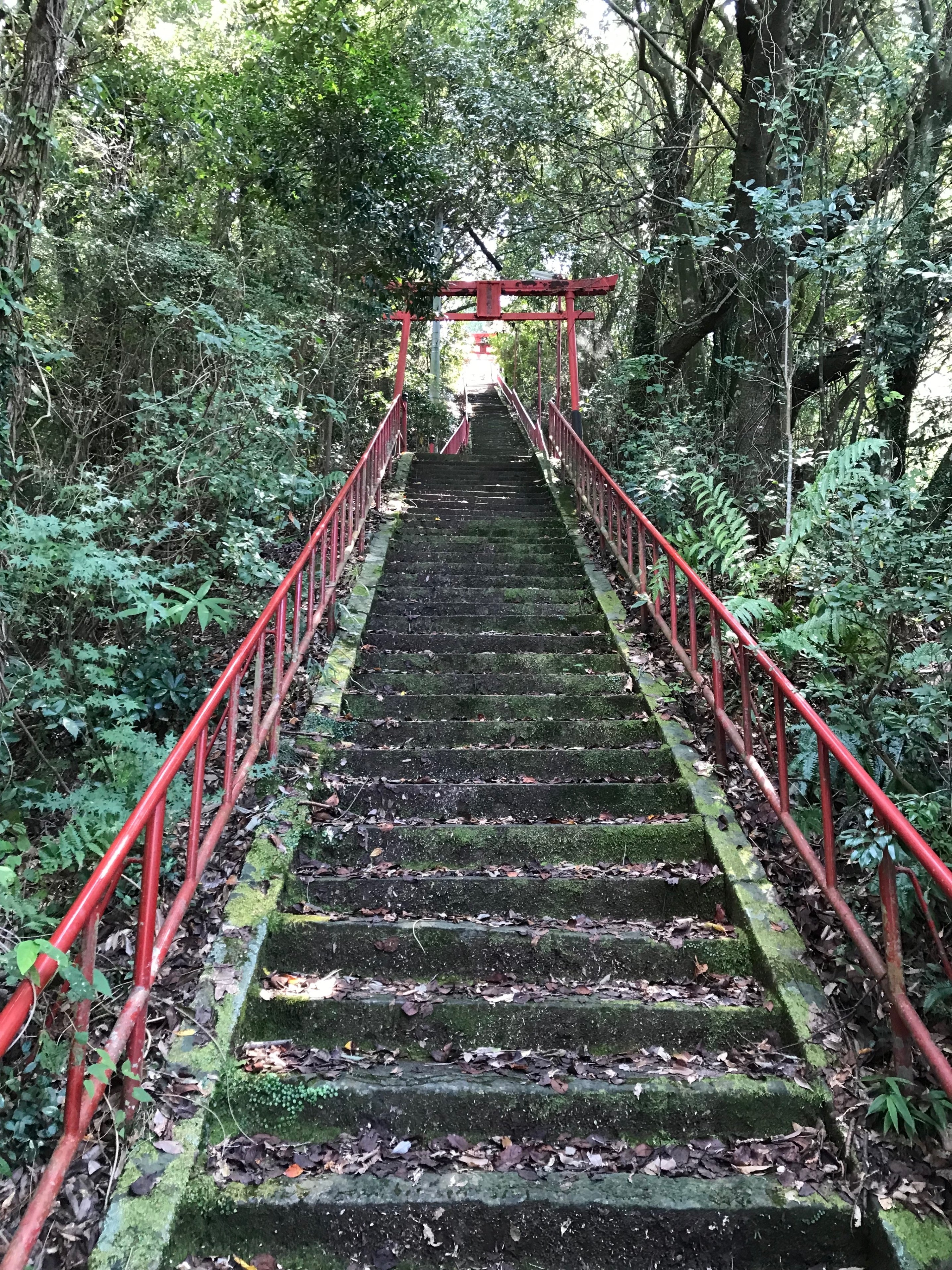 九州南北朝の史跡巡りシリーズ🍊八代編⑦ 【古麓城跡・前編 九州南北朝の史跡巡りシリーズ🍊八代編⑦ 【古麓城跡・前編