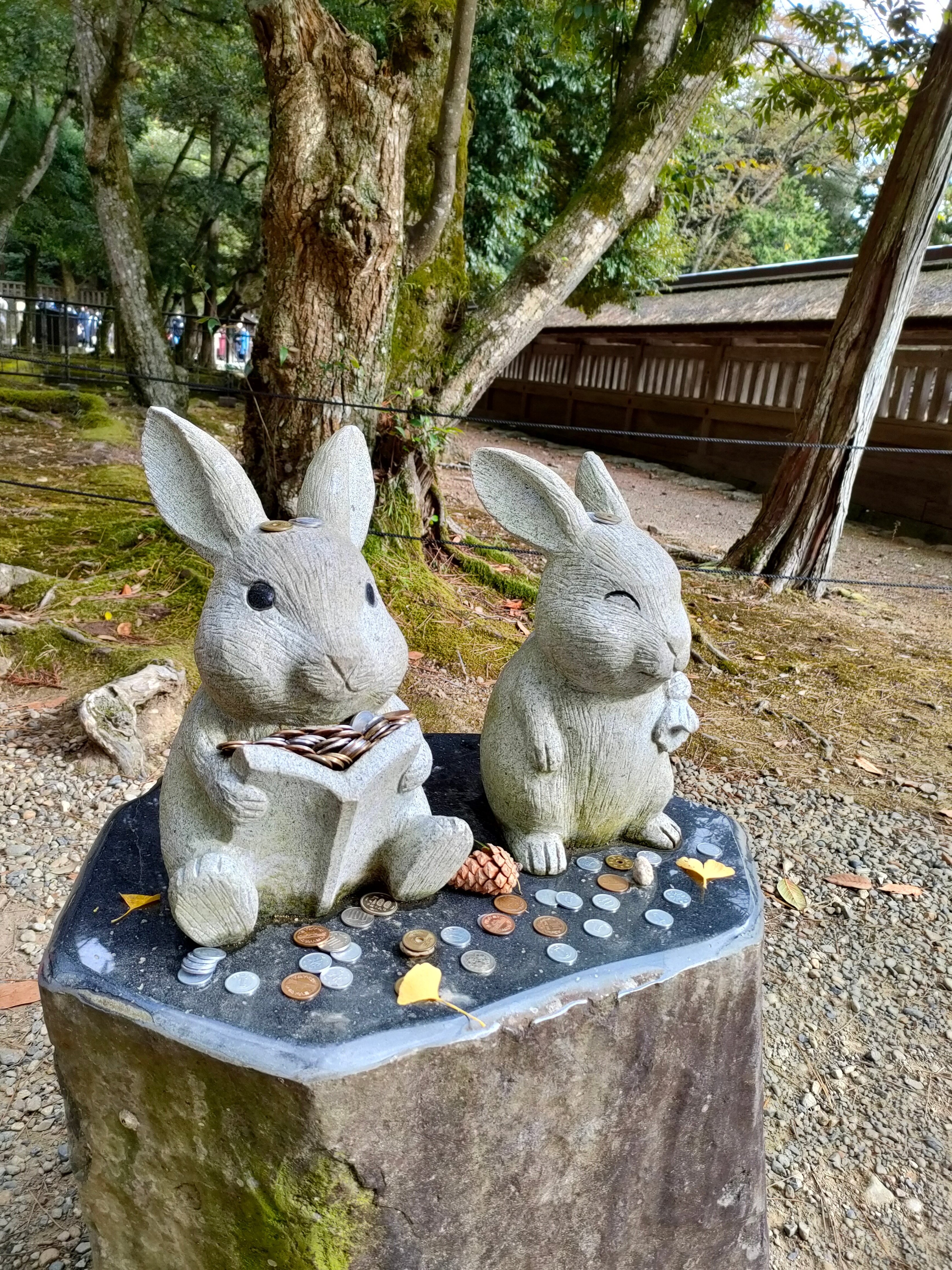 出雲大社(うさぎさん編)｜野田ぴよ