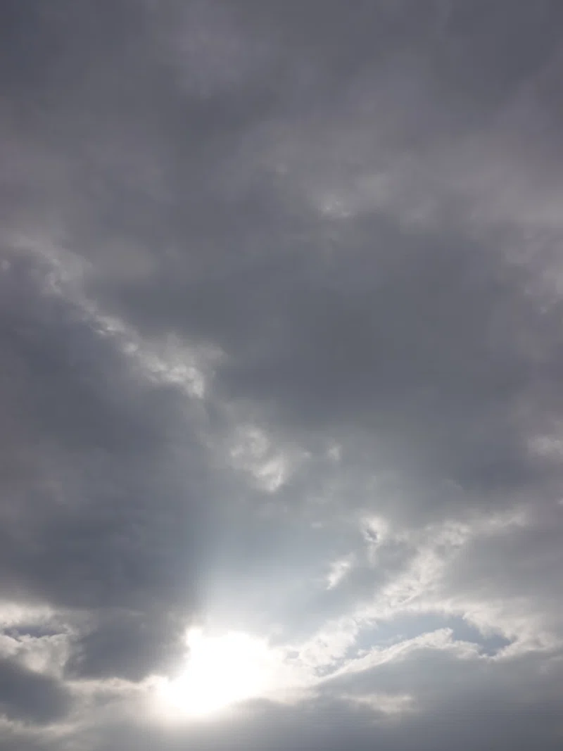 曇天・日曜日の利根川 -2022/11/20|Renat|note
