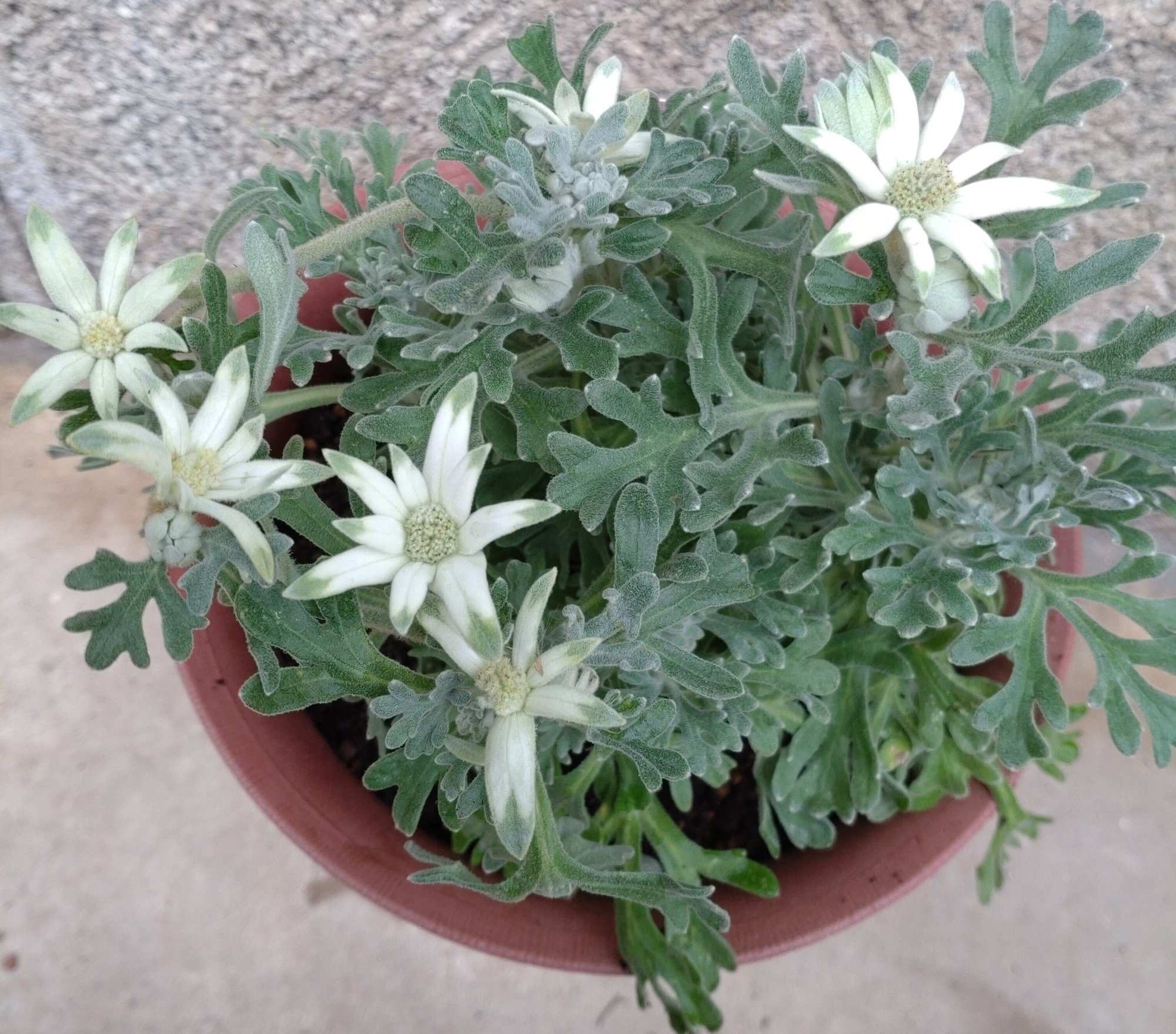 ようこそ家へ がーこ Note ようこそ家へ がーこ Note