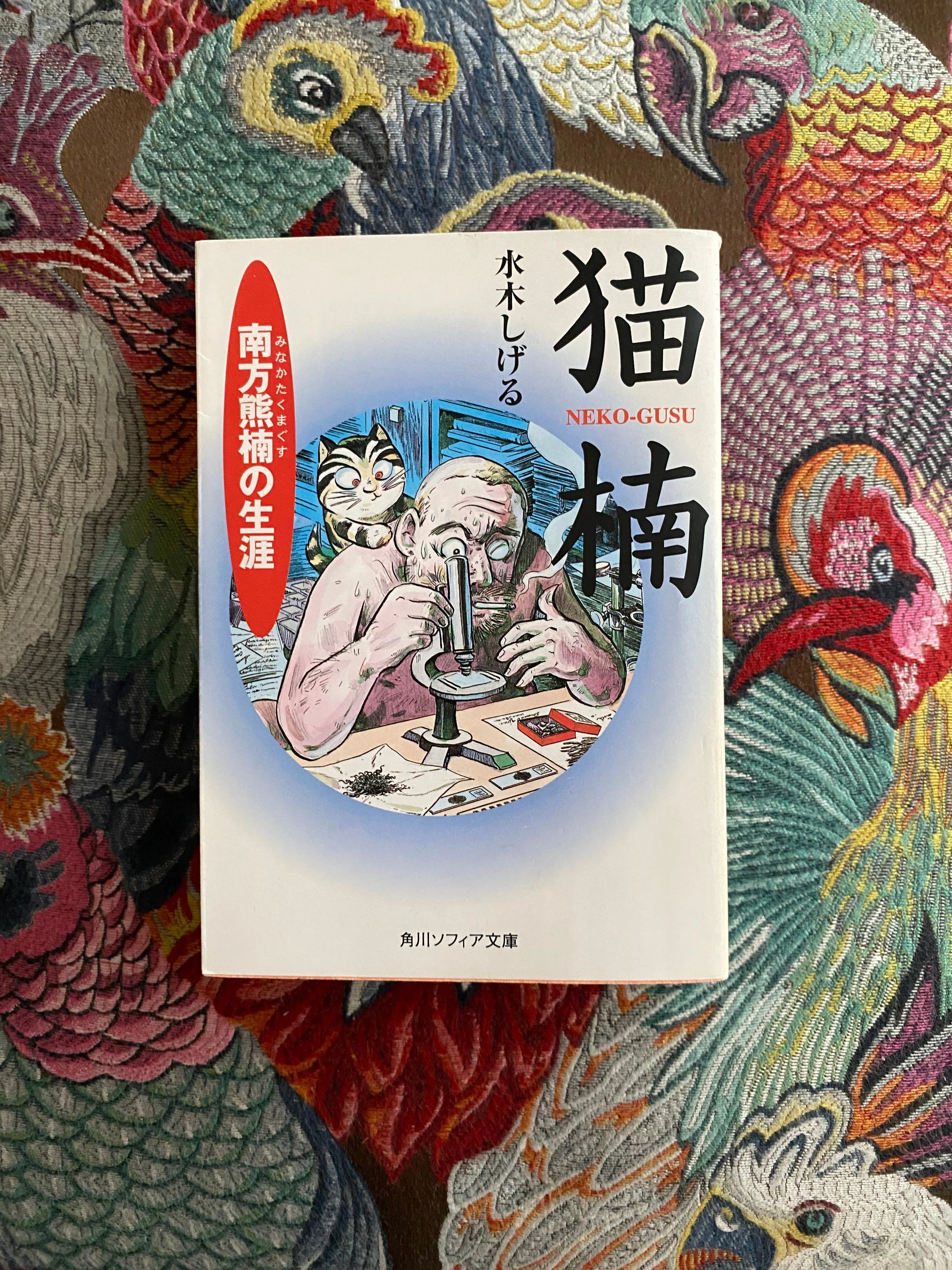 天衣無縫。孤高の大怪人 南方熊楠を訪ねて〜南方熊楠顕彰館 / 和歌山①