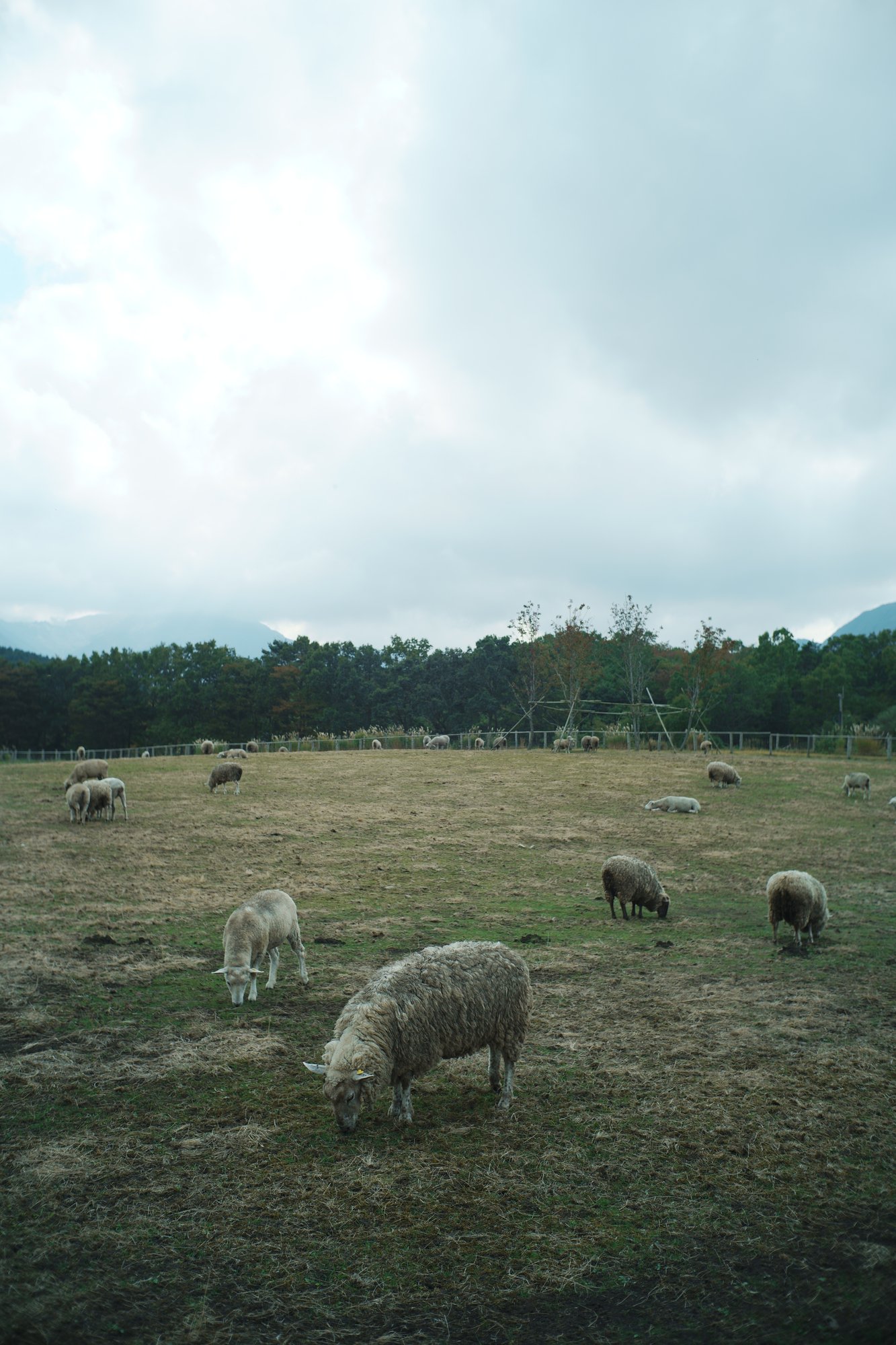 大分県写真旅 九州の山嶺に抱かれて 鉄人 Note 大分県写真旅 九州の山嶺に抱かれて 鉄人 Note