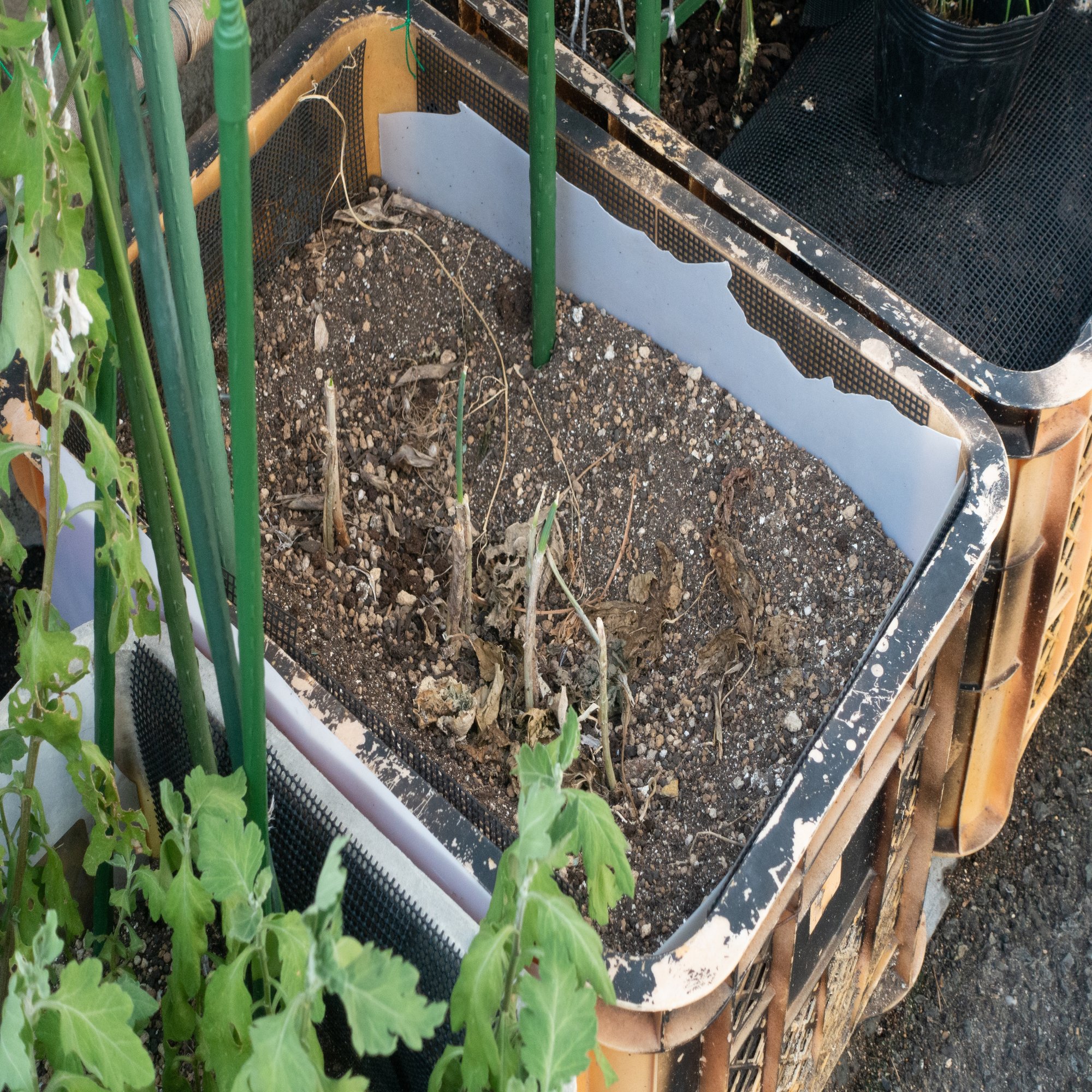 野良デザイン 56 60 ビールケースのプランター 野良デザインの蒐集 Note