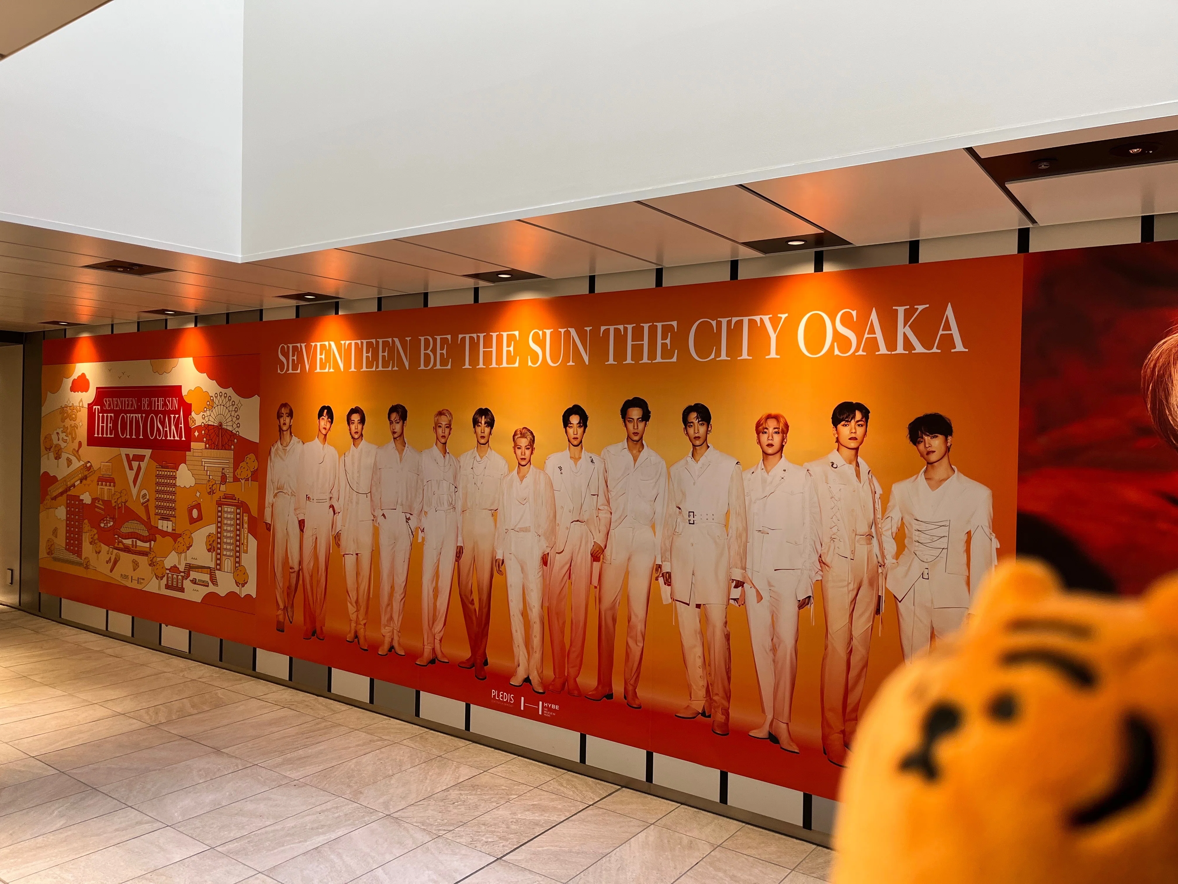 My experience going to an SVT concert｜なみこ