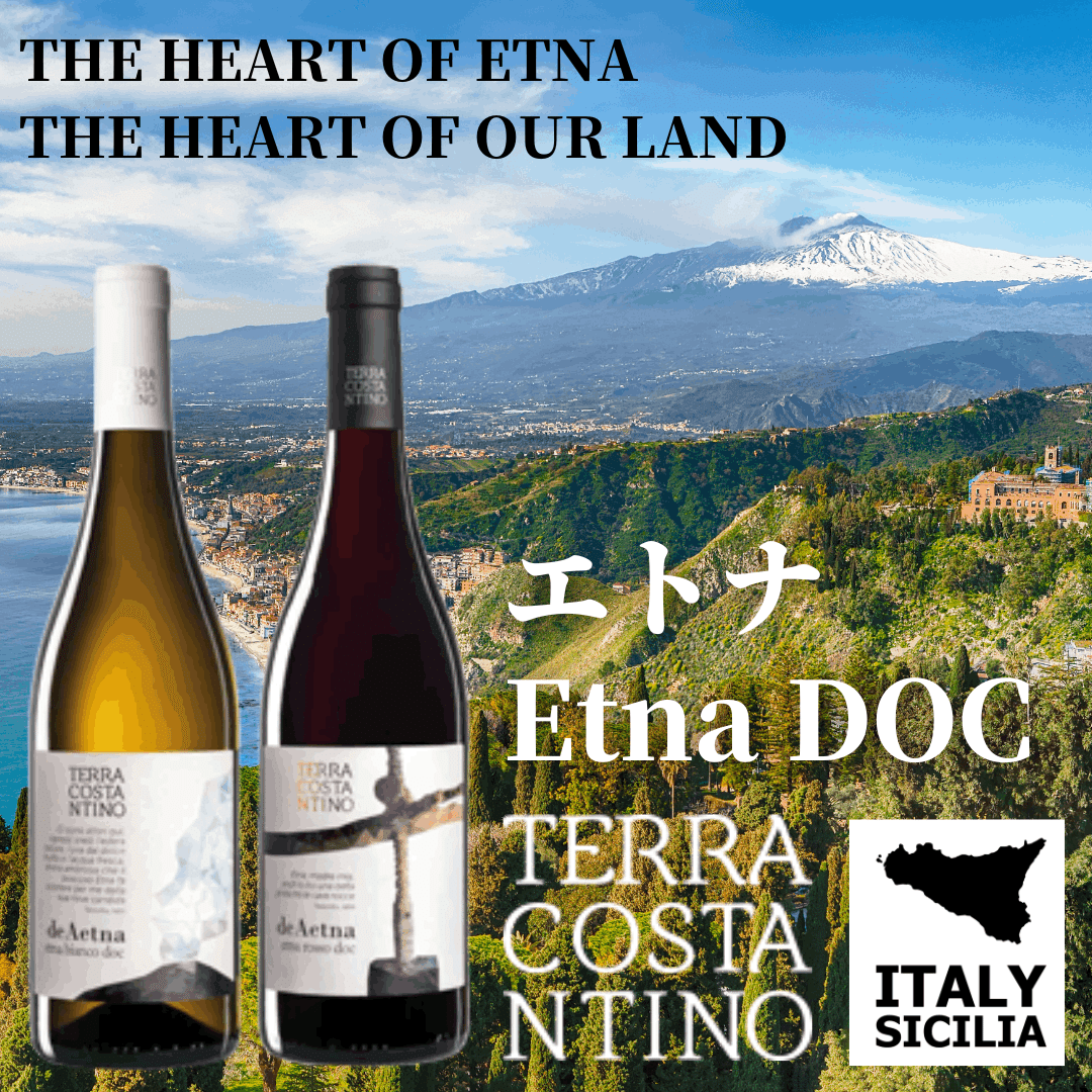 エトナ Etna DOC｜AlcotradeTrust