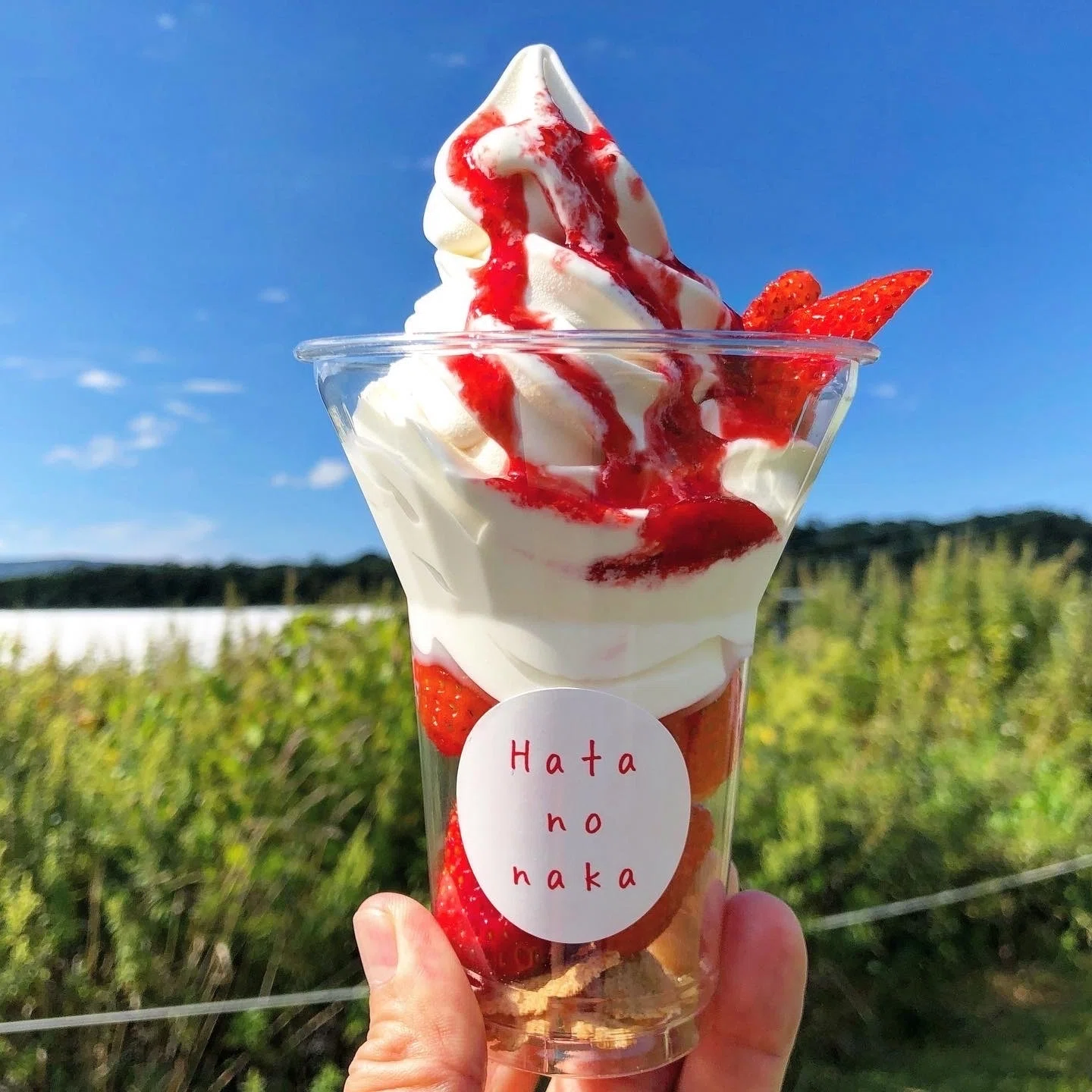 北海道】余市のソフトクリームガイド｜プロソフトクリーマー森川
