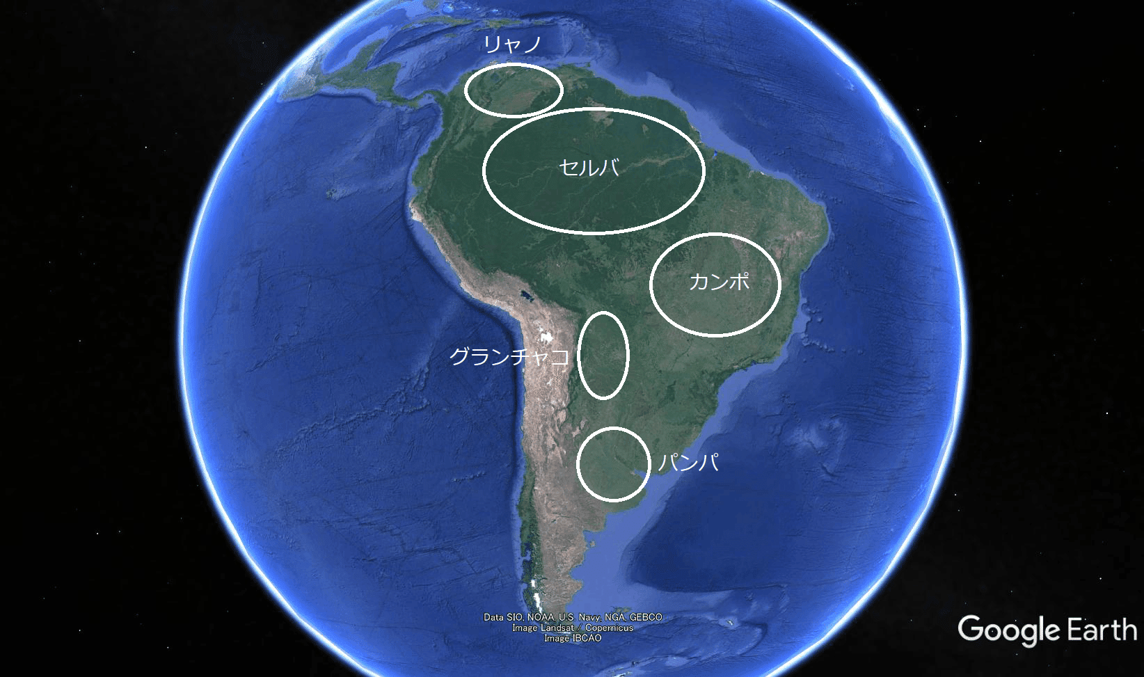 南米 もう一つの大森林 Mokosamurai もこ侍 Note 南米 もう一つの大森林 Mokosamurai もこ侍 Note