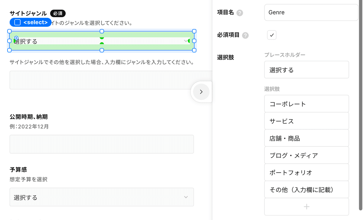 スクリーンショット。選択項目が存在する例。