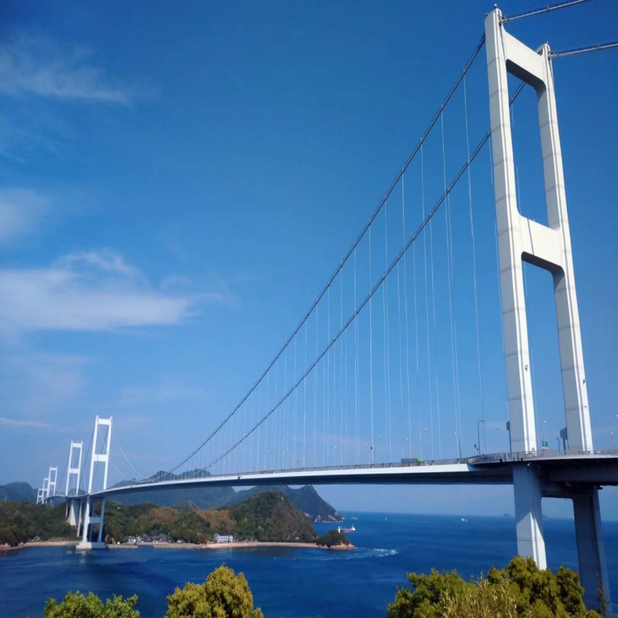 人生に喜びをもたらす場所は海にあった【社員紹介-私が海を愛する理由 