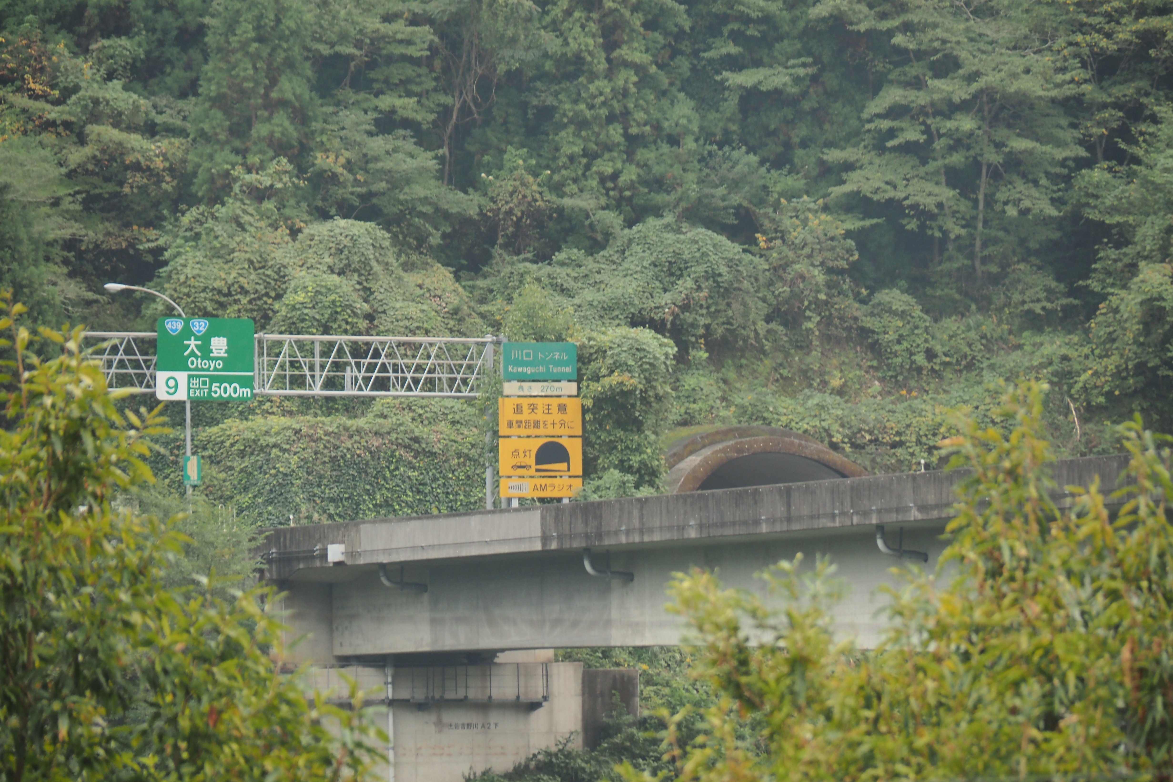 2022.10.22-23 高知嶺北ツーリング【2日目】|ふじ 2022.10.22-23 高知嶺北ツーリング【2日目】|ふじ