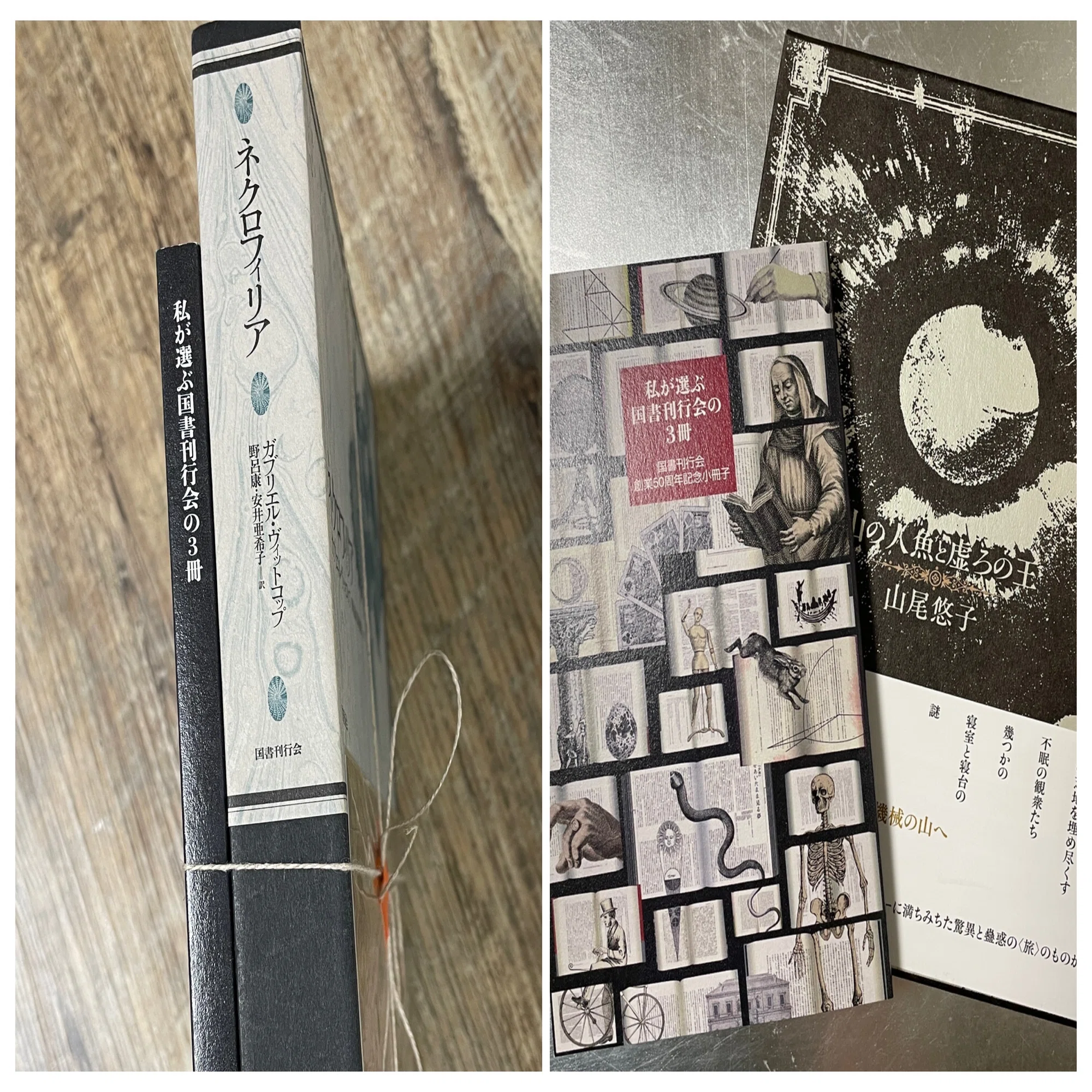 私が選ぶ国書刊行会の3冊』｜中川多理 Tari Nakagawa