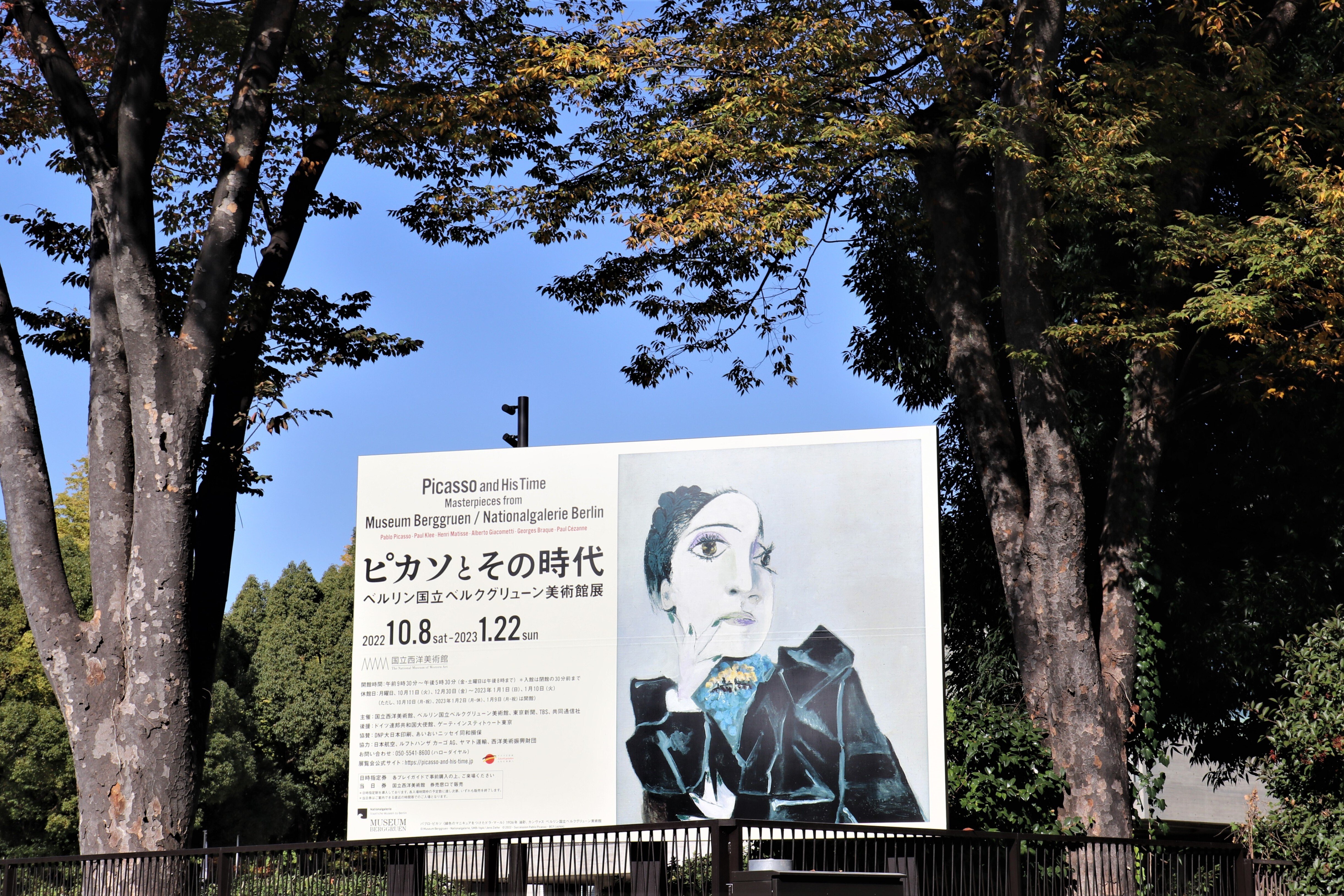 ★☆ピカソ ヘアーネットをつけた女 アートテリー シャーリングプリント★☆ ピカソの女性線画プリント、現代女性の顔（デジタルダウンロード