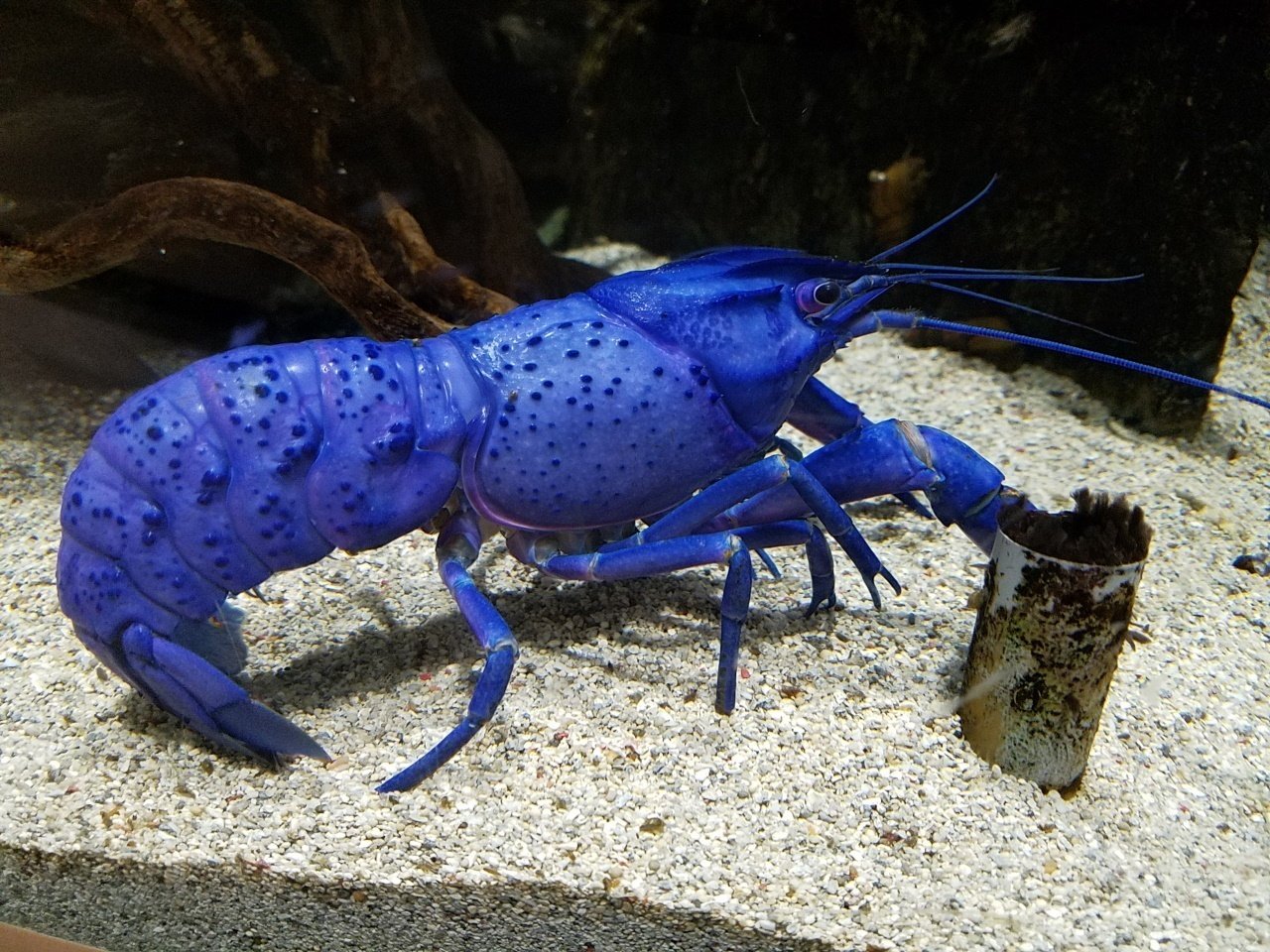 Nhzhovbdd5ynfm Nhzhovbdd5ynfm