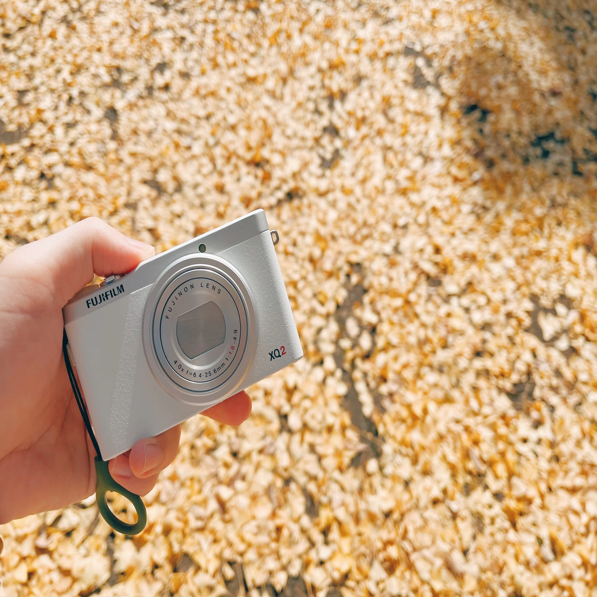 FUJIFILM XQ2と歩く秋のつくば｜ナイトゥ