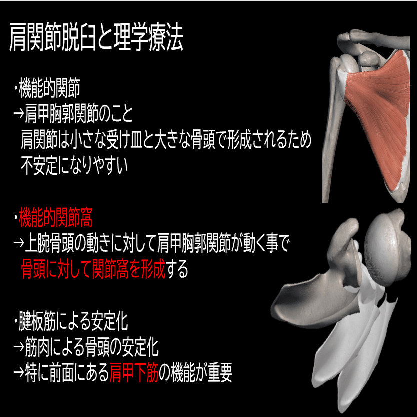 肩関節脱臼と理学療法｜Asumi.Kumada