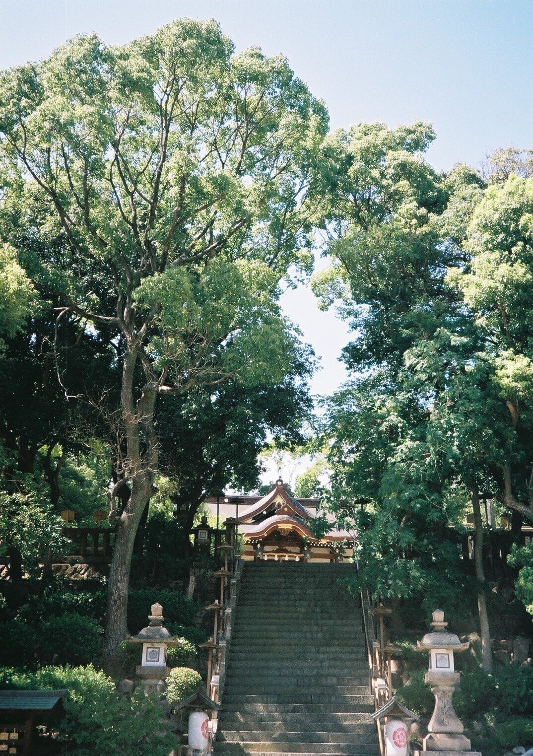 【動作確認ＯＫ】MINOLTA　CAPIOS130S ミノルタ カピオス130s (MINOLTA Capios 130s) | Camera Museum